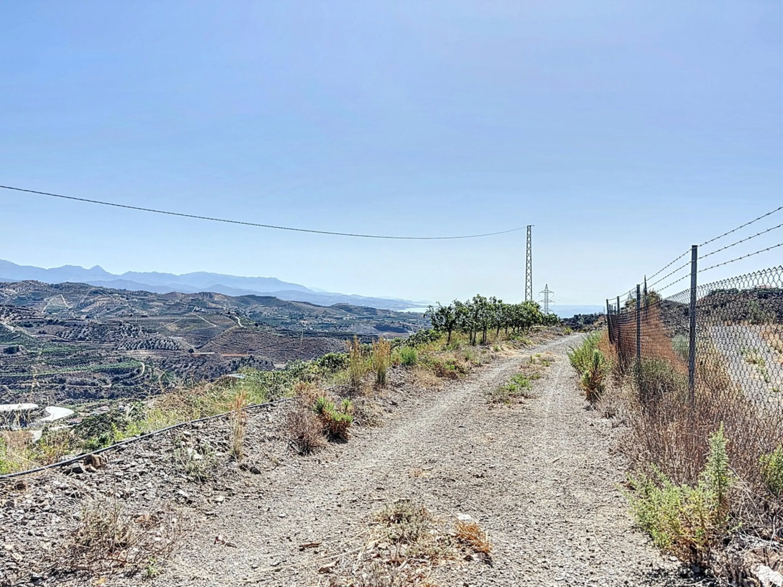 A finca for sale in Cajiz, Malaga, with a total area of 37,714 m2. This property is ideal for agriculture, especially focused on mango production, as it is home to 2,100 trees of the Keitt variety, recognized for its high productivity and demand in the ma