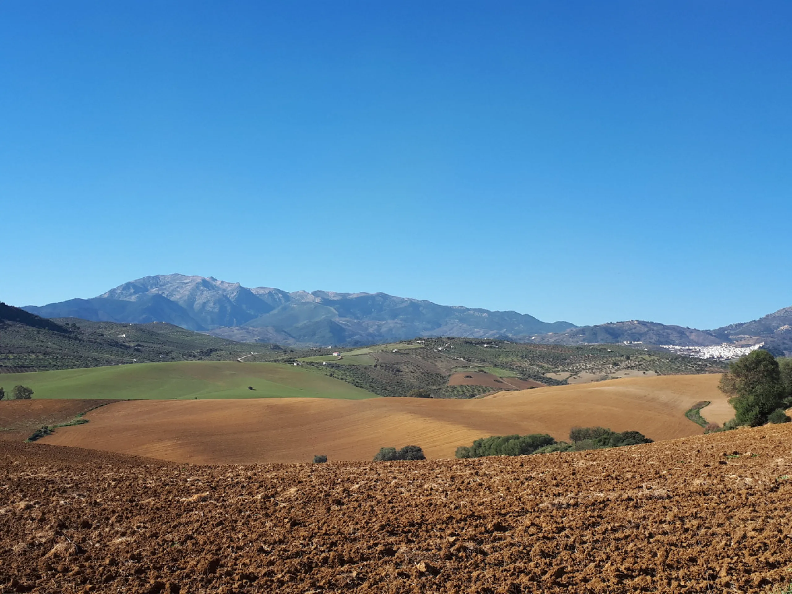 Plot for sale in , Coin. Regarding property dimensions, it has 25,000 m² plot. Has the following facilities mountainside, country view, panoramic view and close to town.