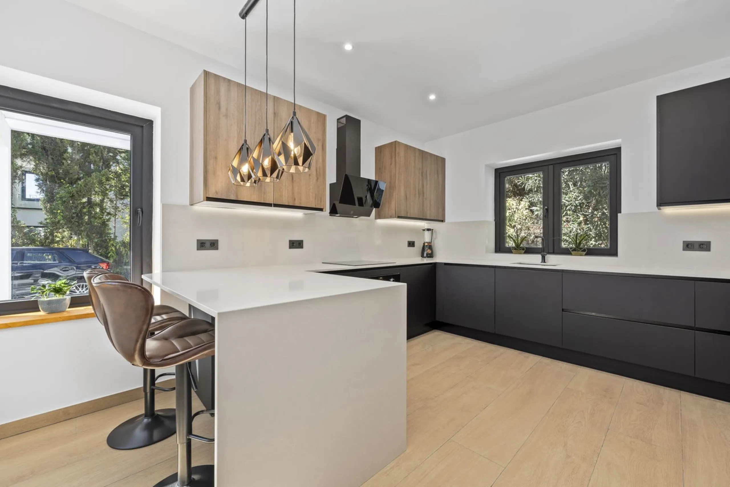 Purchase Opportunity in Paraíso Alto.