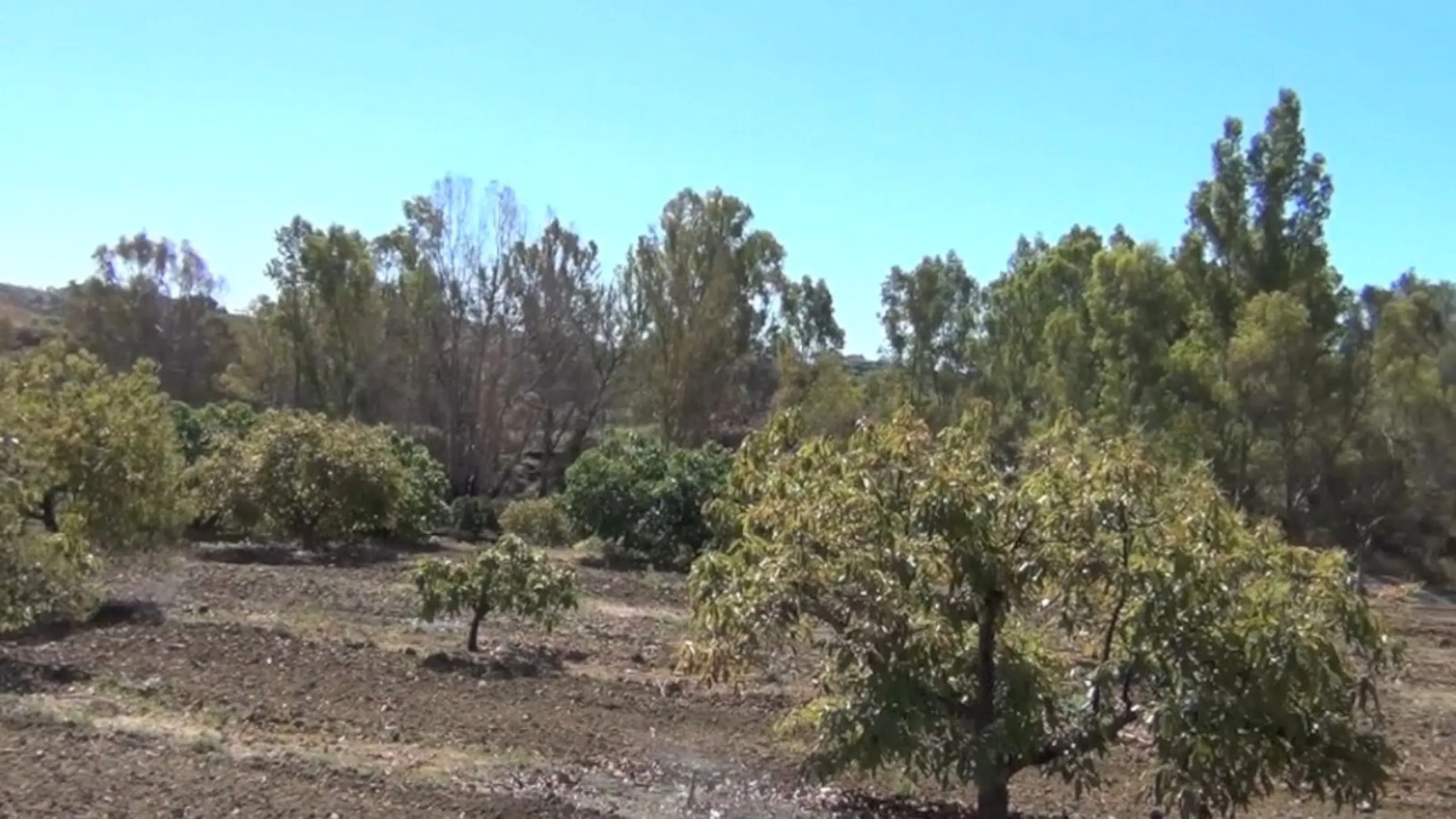 This amazing finca is located in Entrerrios, within the municipality of Mijas, covering approximately 320,000 square meters of rustic land. The property features three artificial lakes with ample water capacity for irrigation. A charming stream called El 