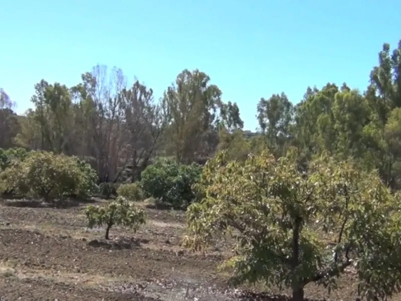 This amazing finca is located in Entrerrios, within the municipality of Mijas, covering approximately 320,000 square meters of rustic land. The property features three artificial lakes with ample water capacity for irrigation. A charming stream called El 
