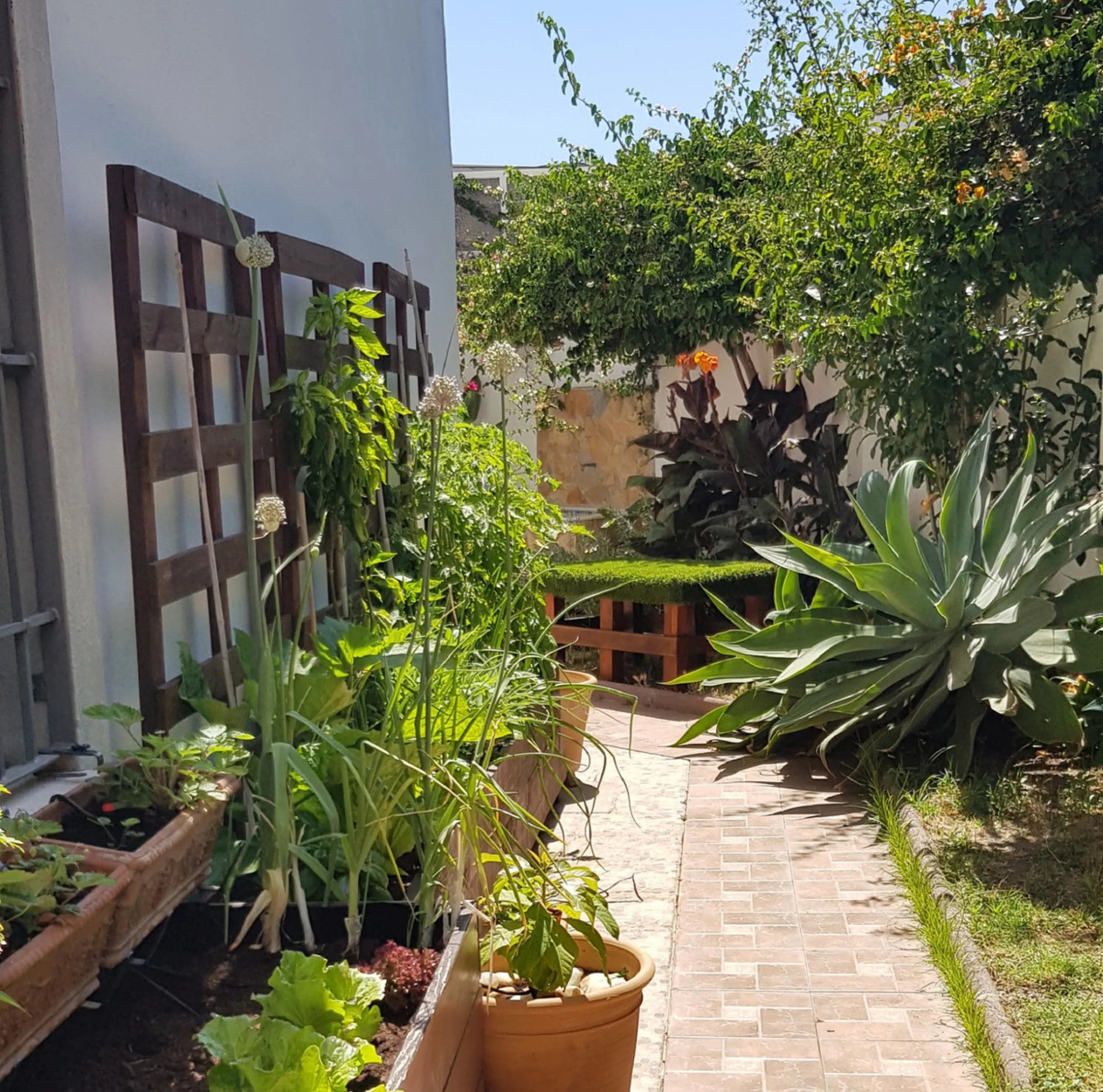House - Semi-Detached House в продаже в Estepona, Málaga. В доме 4 спален и 3 ванных комнат. Площадь дома 200 м². Площадь участка 218 м²
