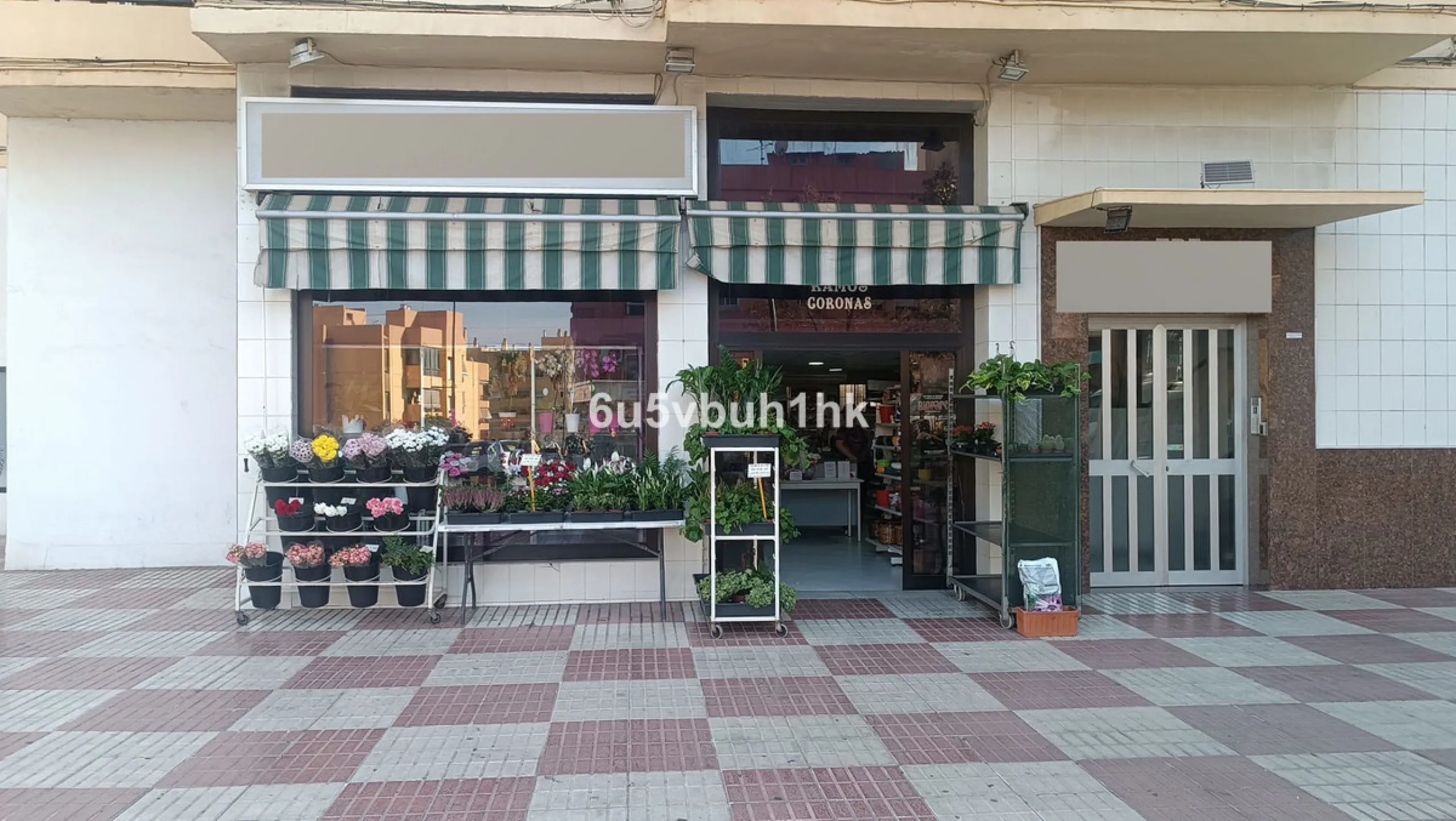 PRICE ADJUSTMENT! Commercial Premises in Marbella's Prime Location – Now More Attractive Than Ever