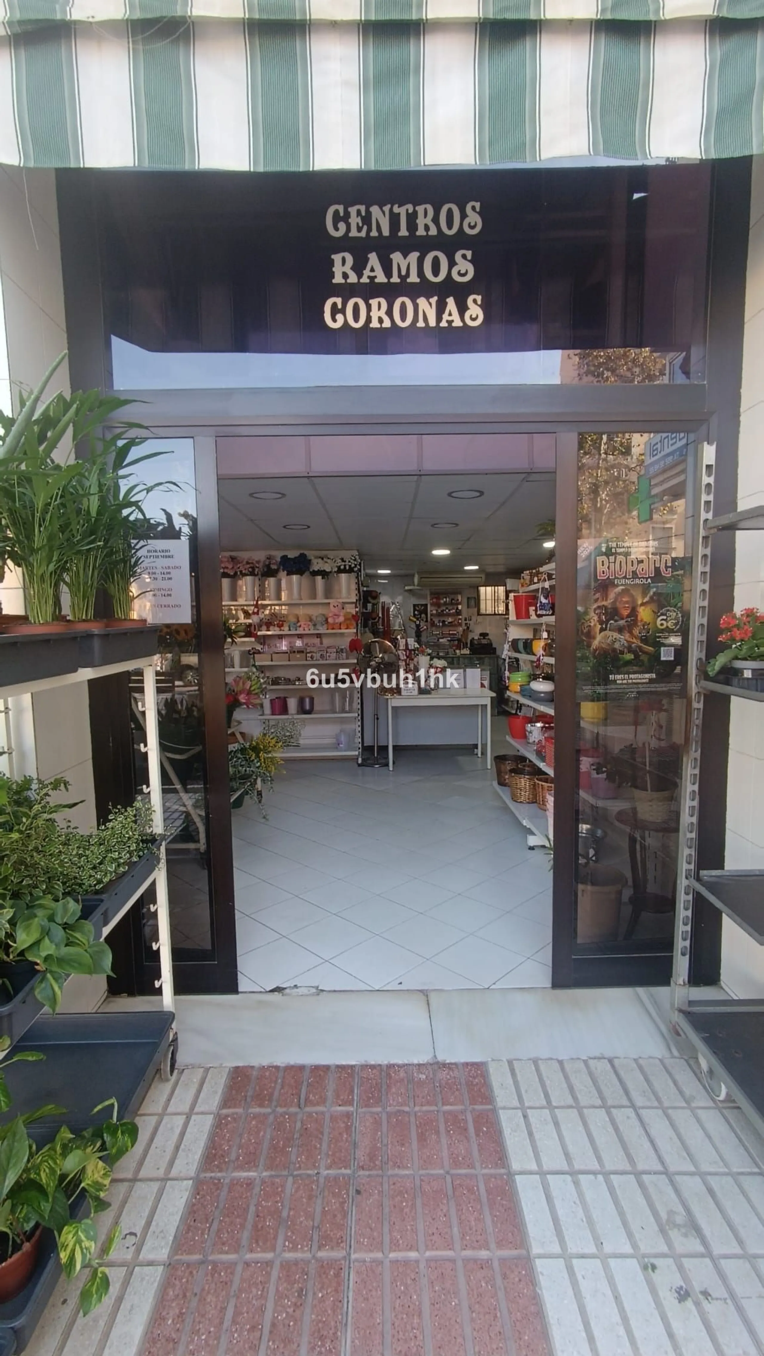 PRICE ADJUSTMENT! Commercial Premises in Marbella's Prime Location – Now More Attractive Than Ever