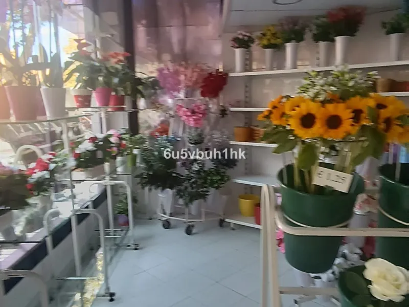 PRICE ADJUSTMENT! Commercial Premises in Marbella's Prime Location – Now More Attractive Than Ever