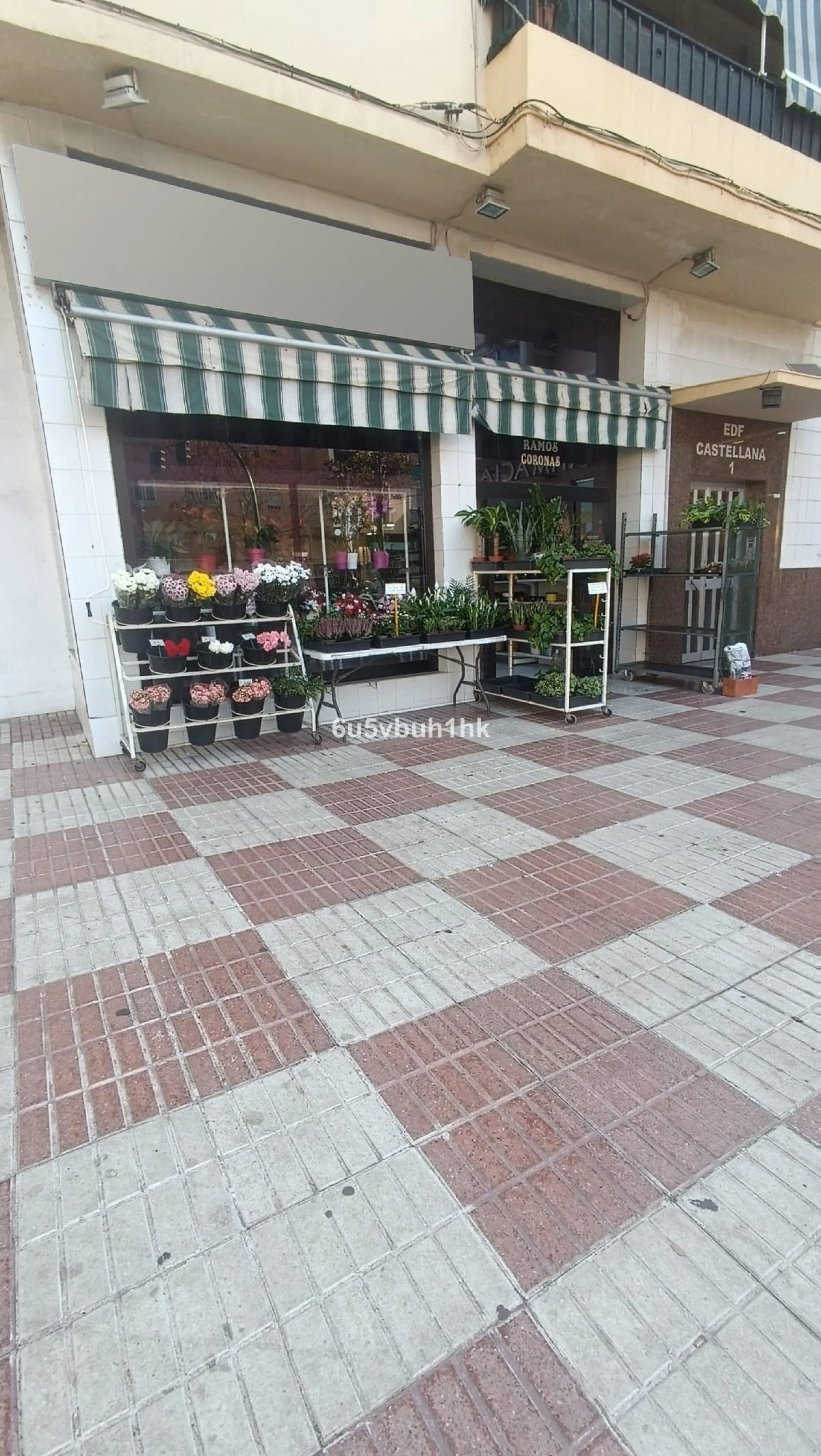 PRICE ADJUSTMENT! Commercial Premises in Marbella's Prime Location – Now More Attractive Than Ever