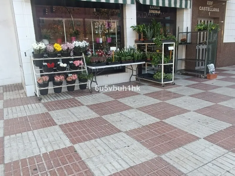 PRICE ADJUSTMENT! Commercial Premises in Marbella's Prime Location – Now More Attractive Than Ever