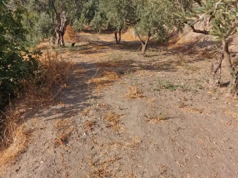 For sale very spacious house in the center of a neighborhood of Alora on 5000m2 of plot. It consists of on the ground floor of a living room, a separate kitchen, three bedrooms and 1 bathroom; on the first floor there are two bedrooms and 1 bathroom. On t