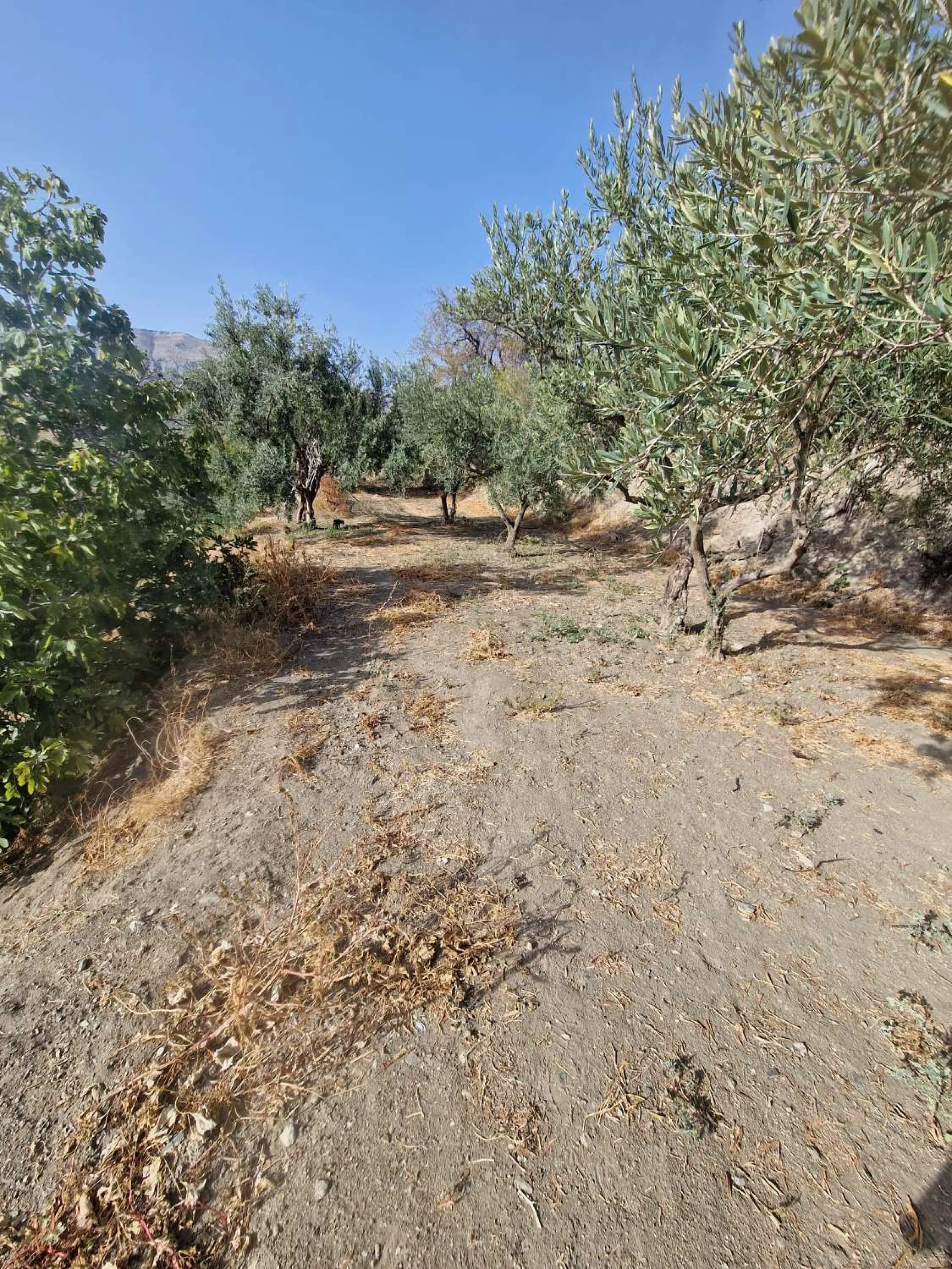 For sale very spacious house in the center of a neighborhood of Alora on 5000m2 of plot. It consists of on the ground floor of a living room, a separate kitchen, three bedrooms and 1 bathroom; on the first floor there are two bedrooms and 1 bathroom. On t