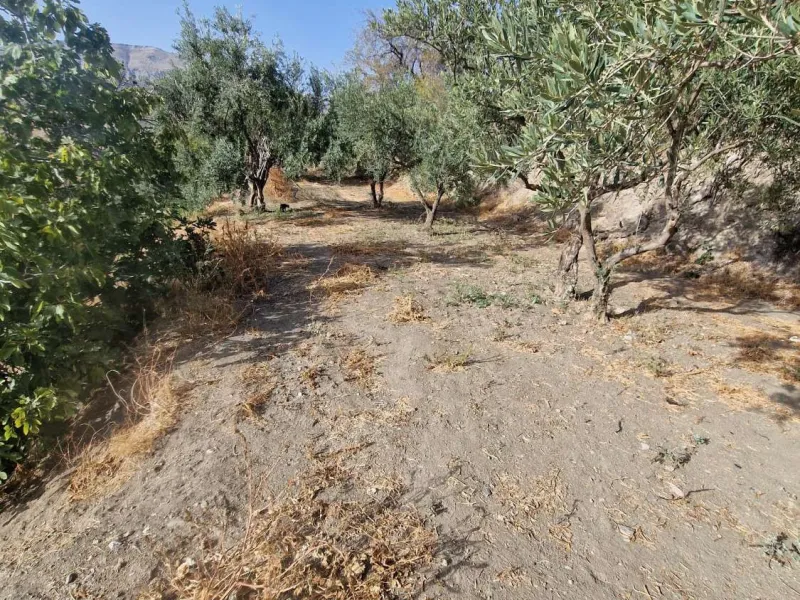 For sale very spacious house in the center of a neighborhood of Alora on 5000m2 of plot. It consists of on the ground floor of a living room, a separate kitchen, three bedrooms and 1 bathroom; on the first floor there are two bedrooms and 1 bathroom. On t