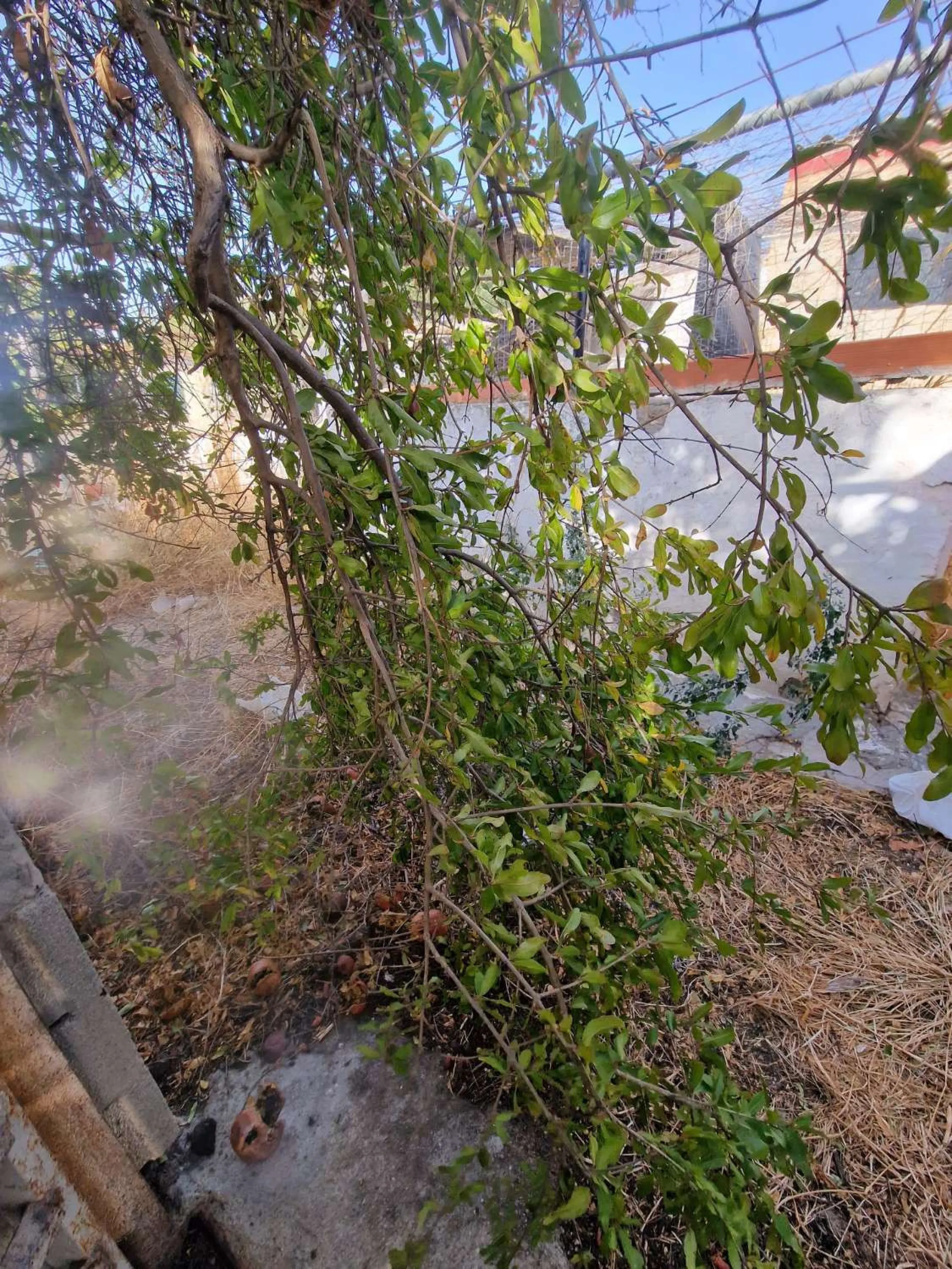 For sale very spacious house in the center of a neighborhood of Alora on 5000m2 of plot. It consists of on the ground floor of a living room, a separate kitchen, three bedrooms and 1 bathroom; on the first floor there are two bedrooms and 1 bathroom. On t