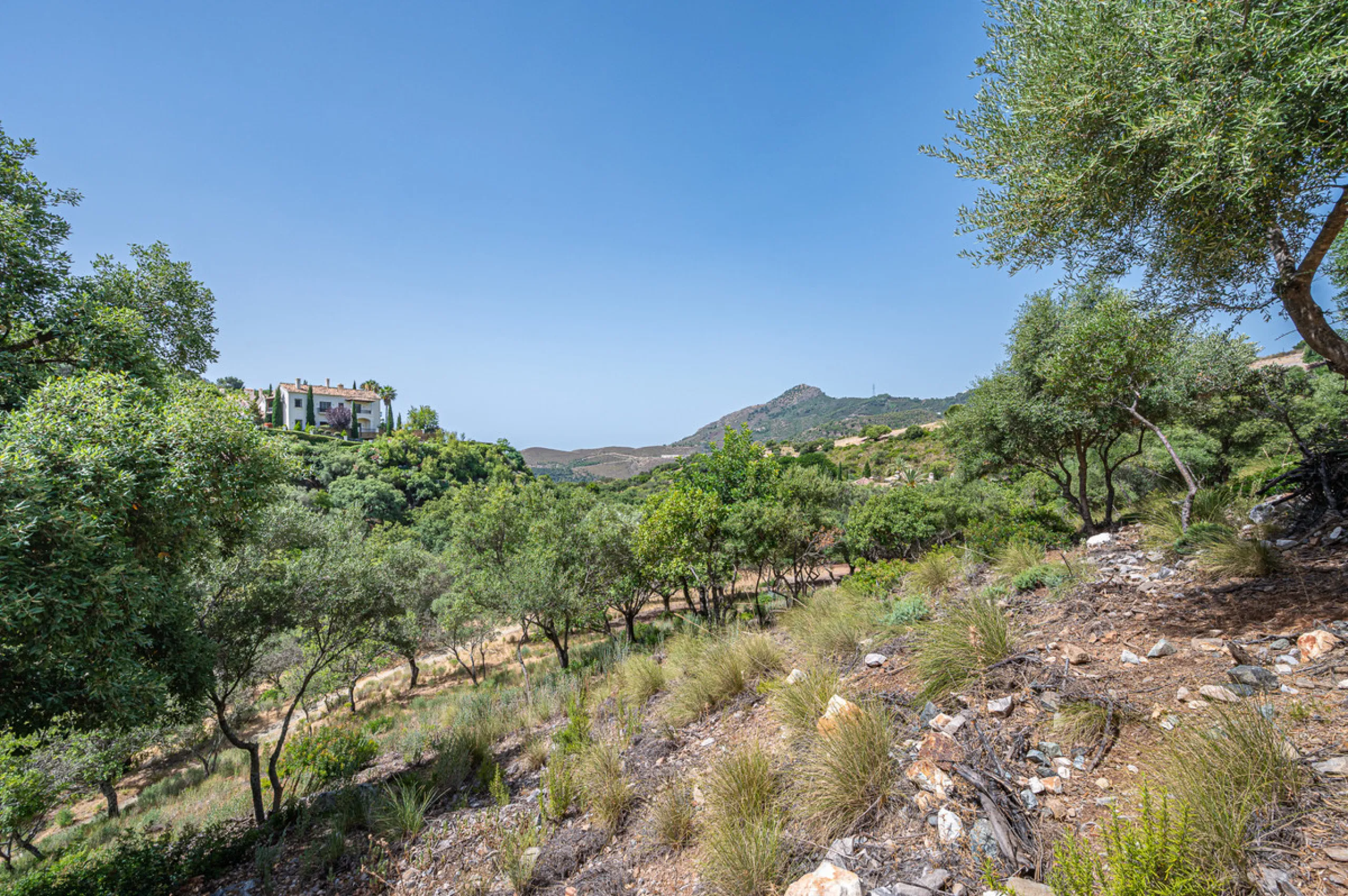 Plot - Land в продаже в Benahavís, Málaga. Площадь участка 4829 м²