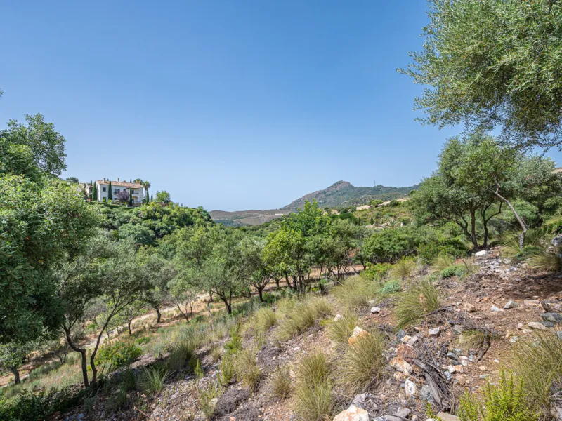 Plot - Land в продаже в Benahavís, Málaga. Площадь участка 4829 м²