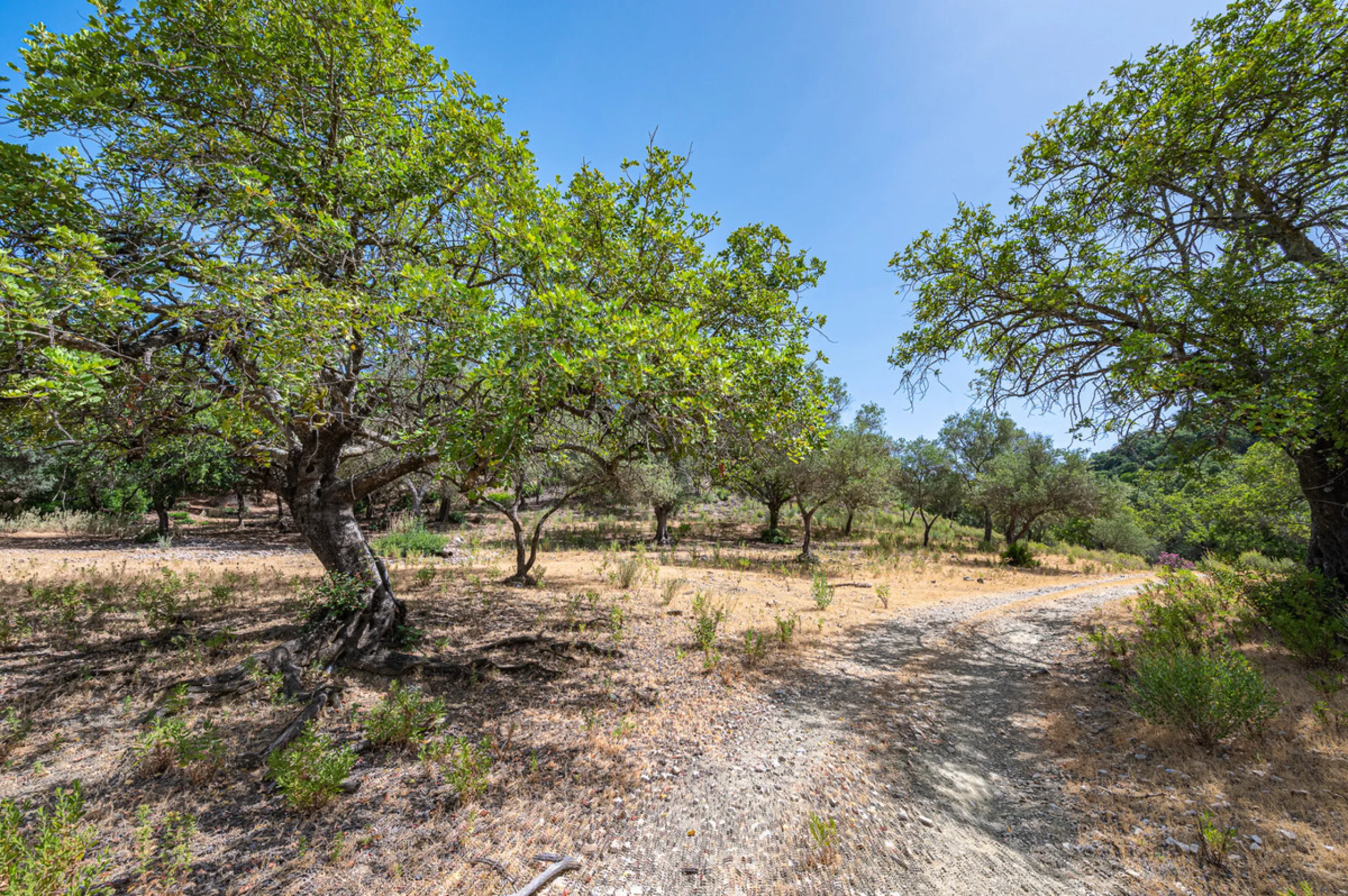 Plot - Land в продаже в Benahavís, Málaga. Площадь участка 4829 м²