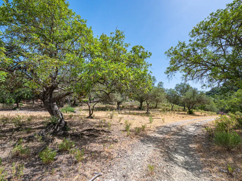 Plot - Land в продаже в Benahavís, Málaga. Площадь участка 4829 м²