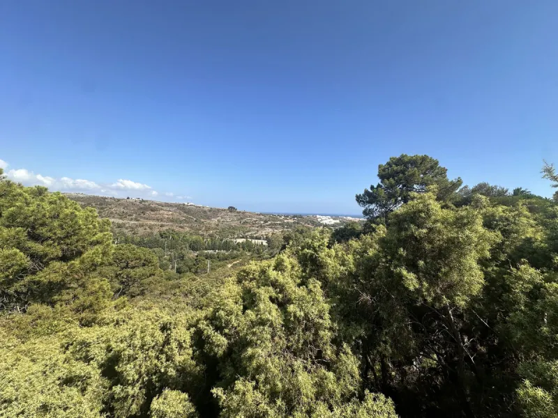Plot - Land в продаже в Benahavís, Málaga. Площадь участка 5983 м²
