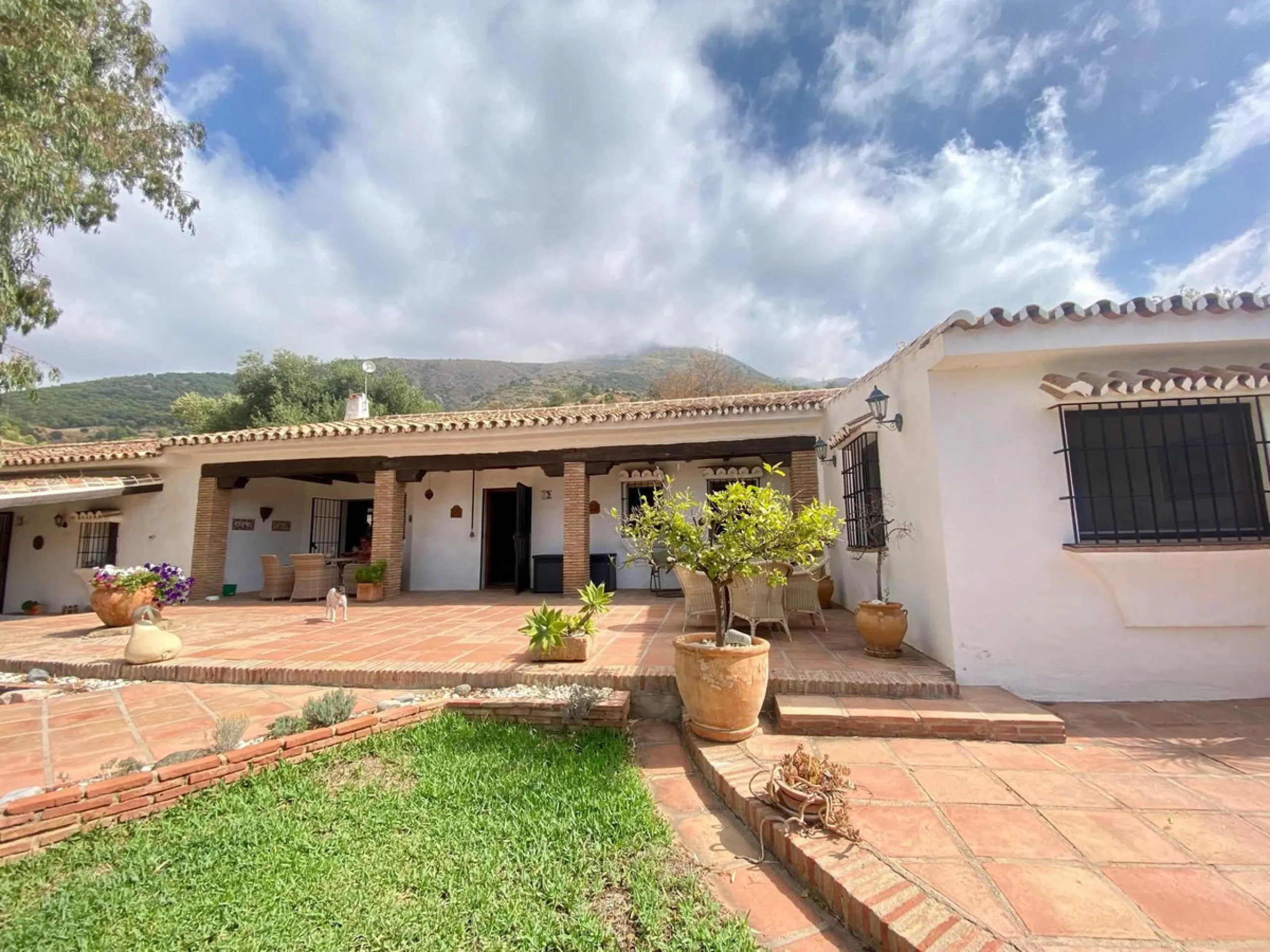 Do you want to feel you are really living in Spain? To smell the herbs on the breeze and to sit and look across the rolling countryside to the mountains with a glimpse of the sea glittering beyond the mountains. To feel the soul of this beautiful property