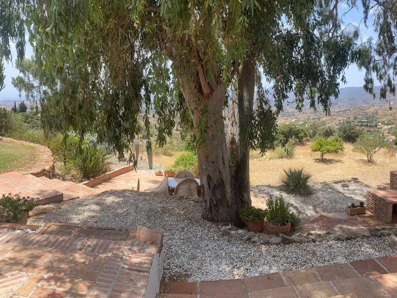 Do you want to feel you are really living in Spain? To smell the herbs on the breeze and to sit and look across the rolling countryside to the mountains with a glimpse of the sea glittering beyond the mountains. To feel the soul of this beautiful property