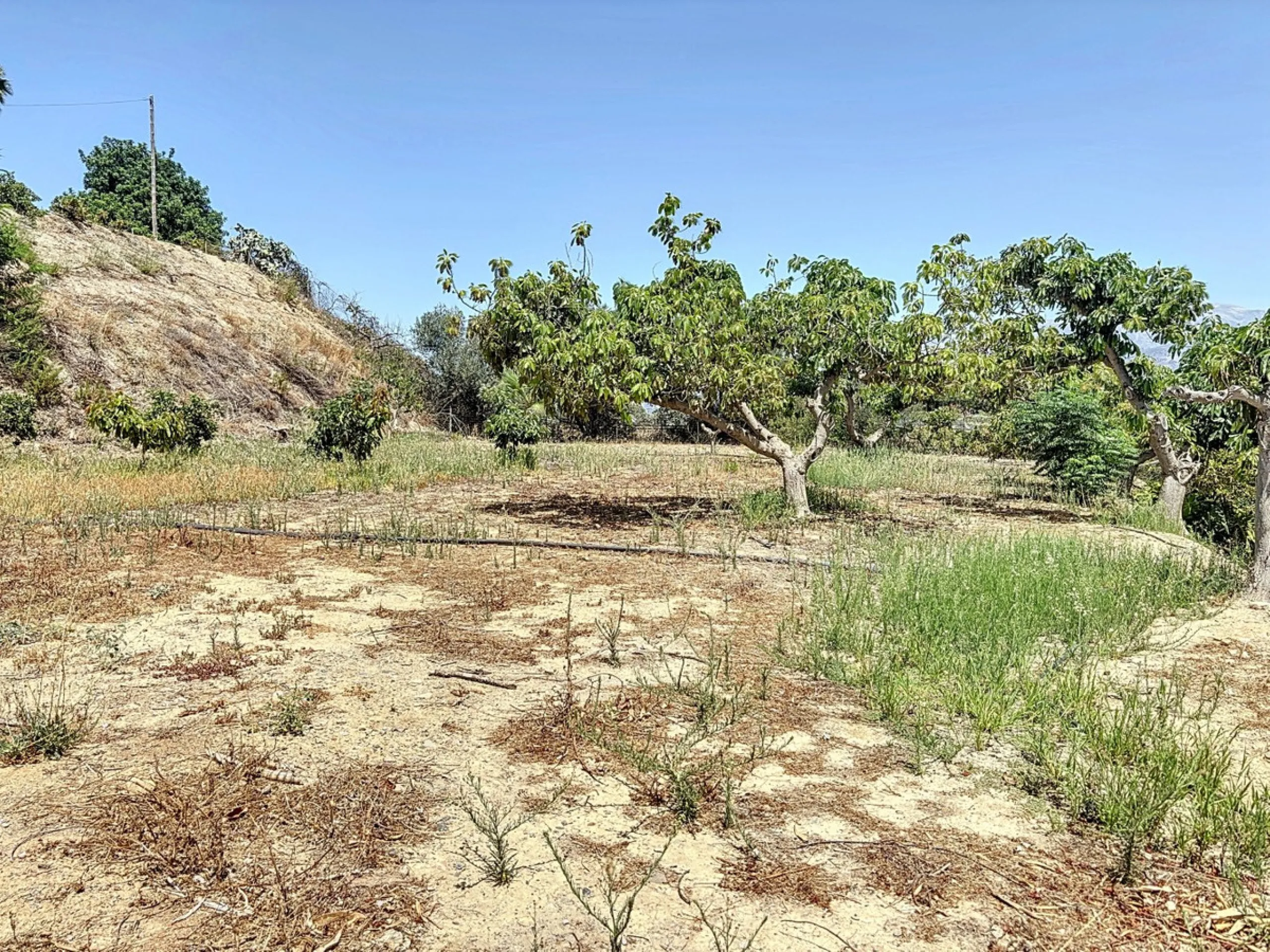For sale: an impressive country house in Torre del Mar, perfect for those seeking a retreat in the heart of nature without sacrificing comfort. The property boasts a living area of 224 m2 and is situated on a large, fully fenced plot of 4045 m2, ensuring 