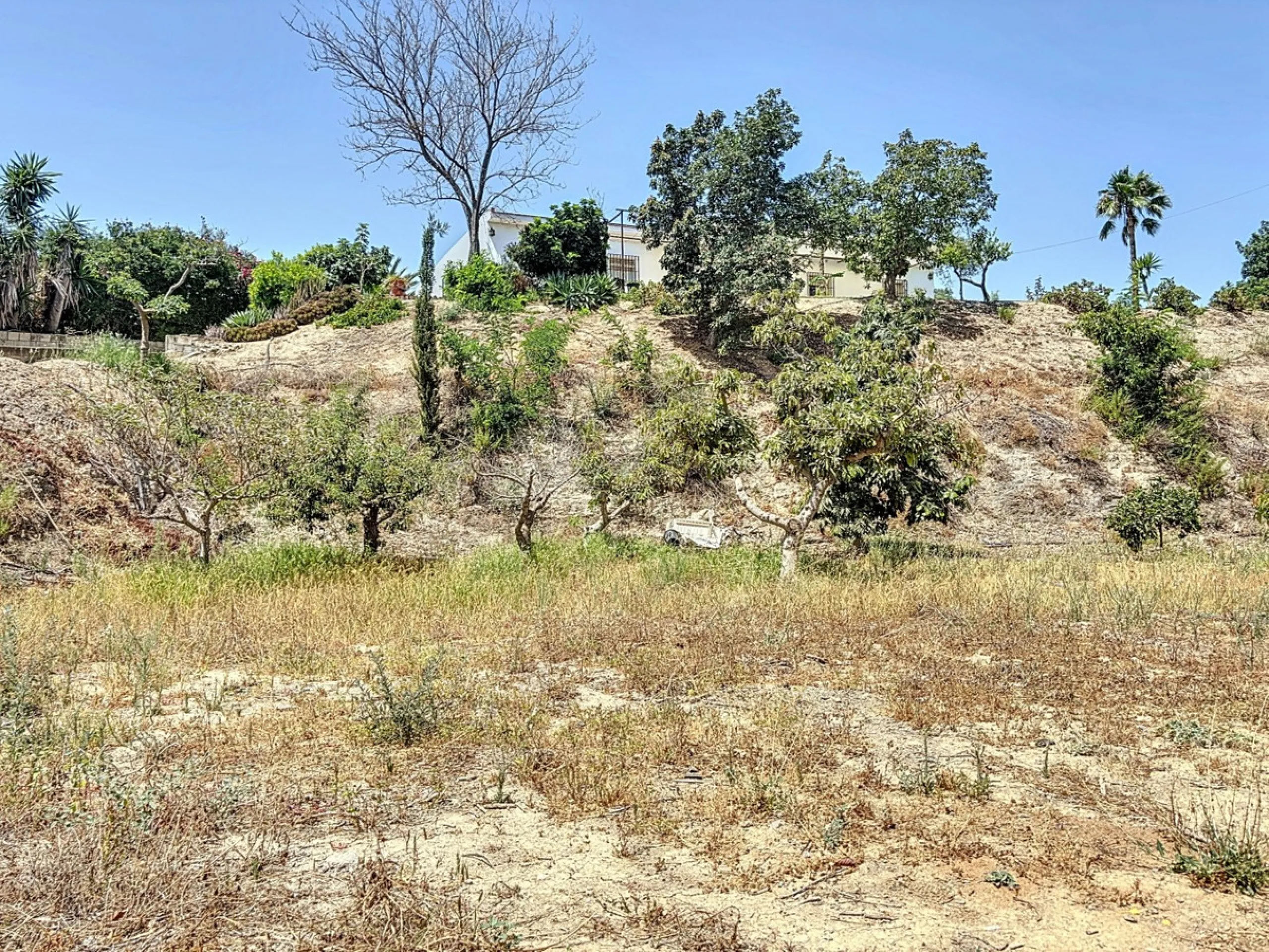 For sale: an impressive country house in Torre del Mar, perfect for those seeking a retreat in the heart of nature without sacrificing comfort. The property boasts a living area of 224 m2 and is situated on a large, fully fenced plot of 4045 m2, ensuring 