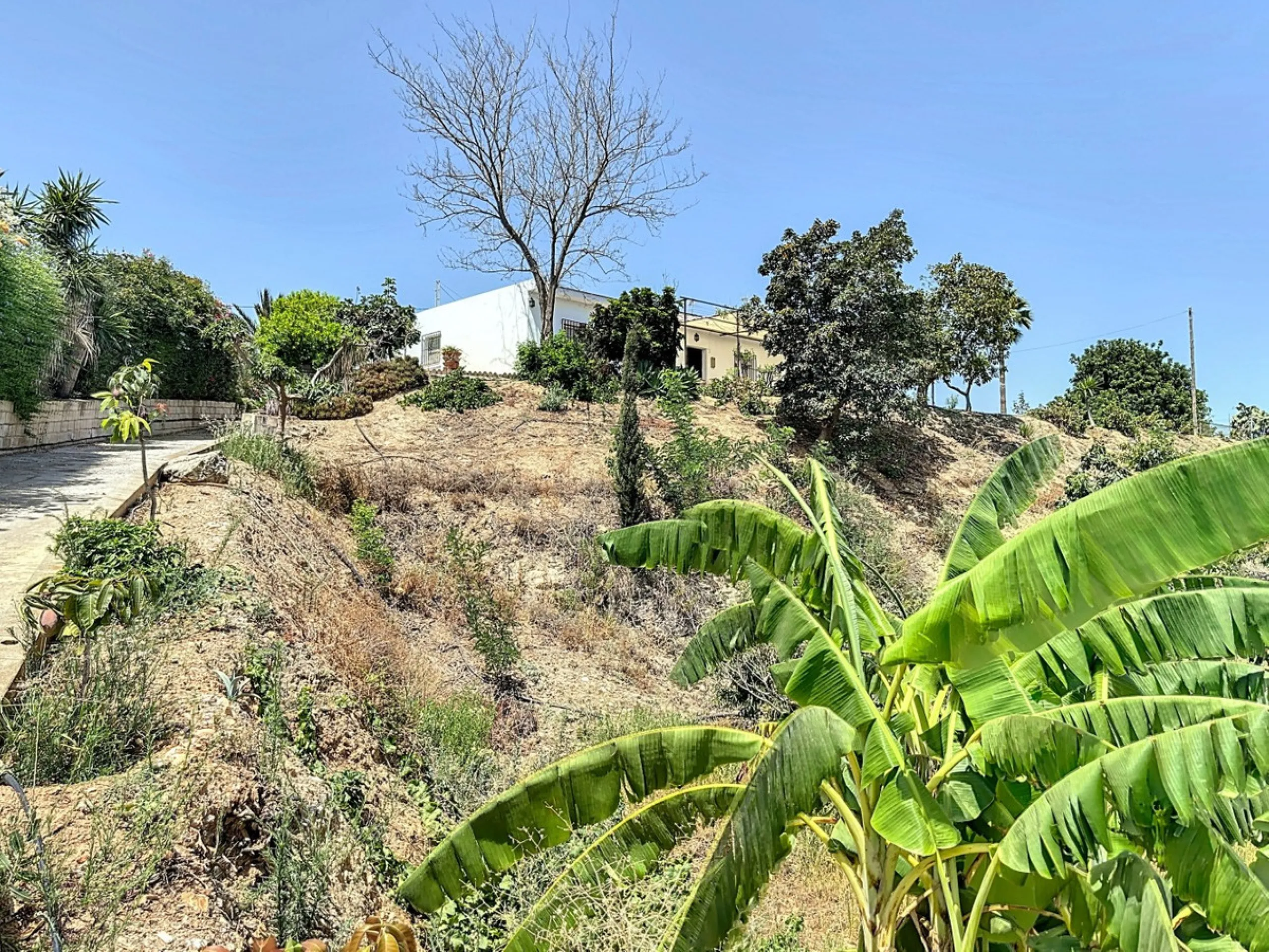 For sale: an impressive country house in Torre del Mar, perfect for those seeking a retreat in the heart of nature without sacrificing comfort. The property boasts a living area of 224 m2 and is situated on a large, fully fenced plot of 4045 m2, ensuring 