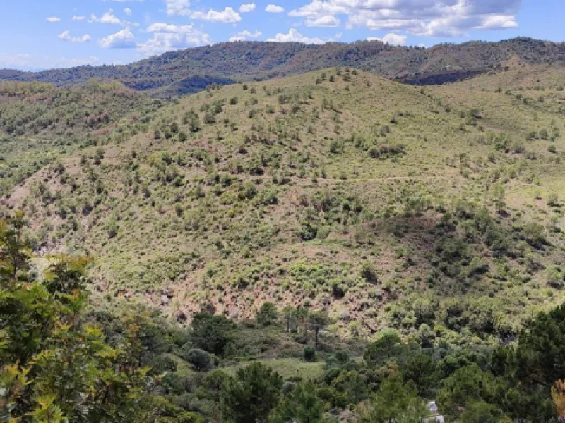 Great investment opportunity – Huge plot with the best panoramic sea views in Monte Mayor.