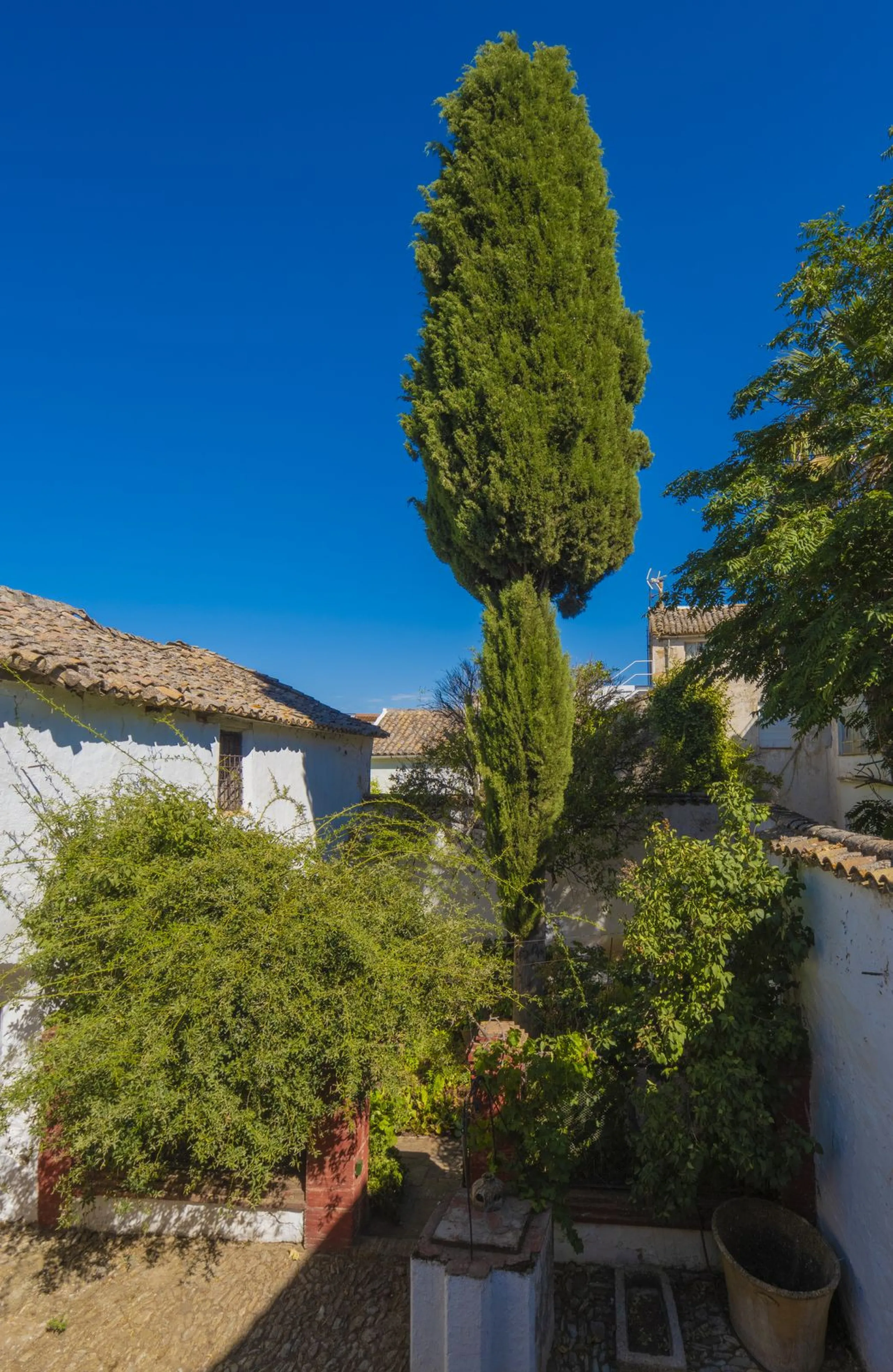 Estately House in the heart of Ronda Old Town. This is a dwelling with access from two different streets, one of them the main artery at Ronda Old Town, the second one, a cobbled XVIII century scented street with whitewashed façades, next to charming hote
