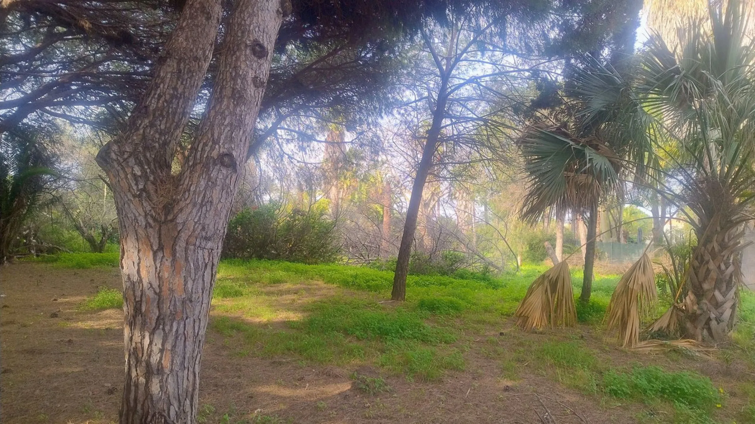 Plot for sale with an exclusive Luxury Villa project.