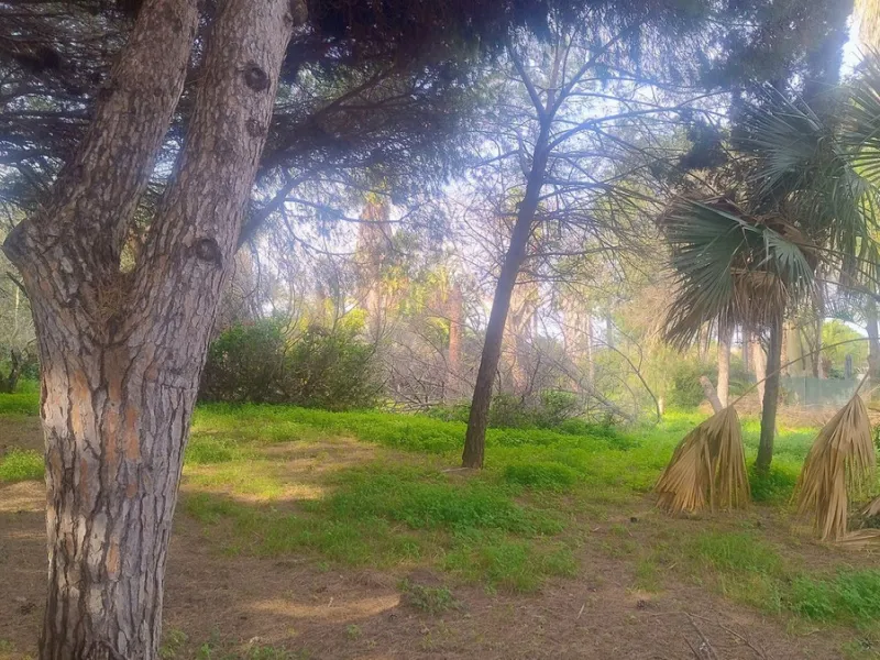 Plot for sale with an exclusive Luxury Villa project.