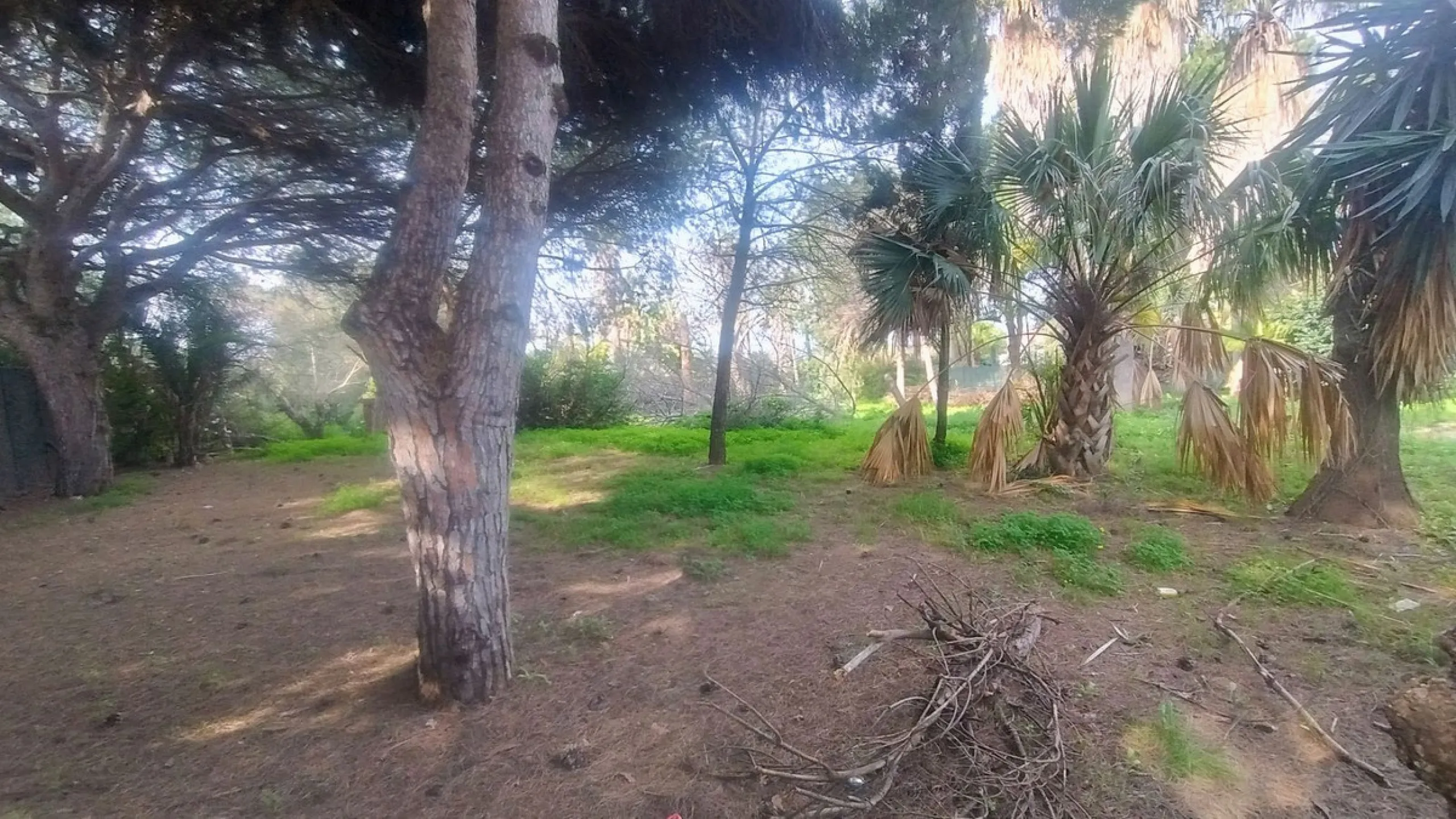 Plot for sale with an exclusive Luxury Villa project.