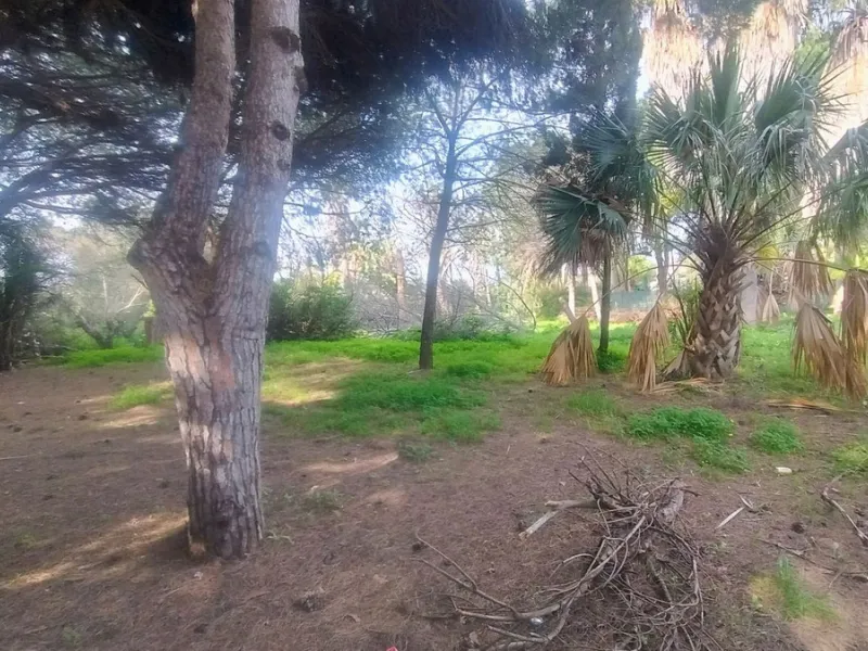 Plot for sale with an exclusive Luxury Villa project.