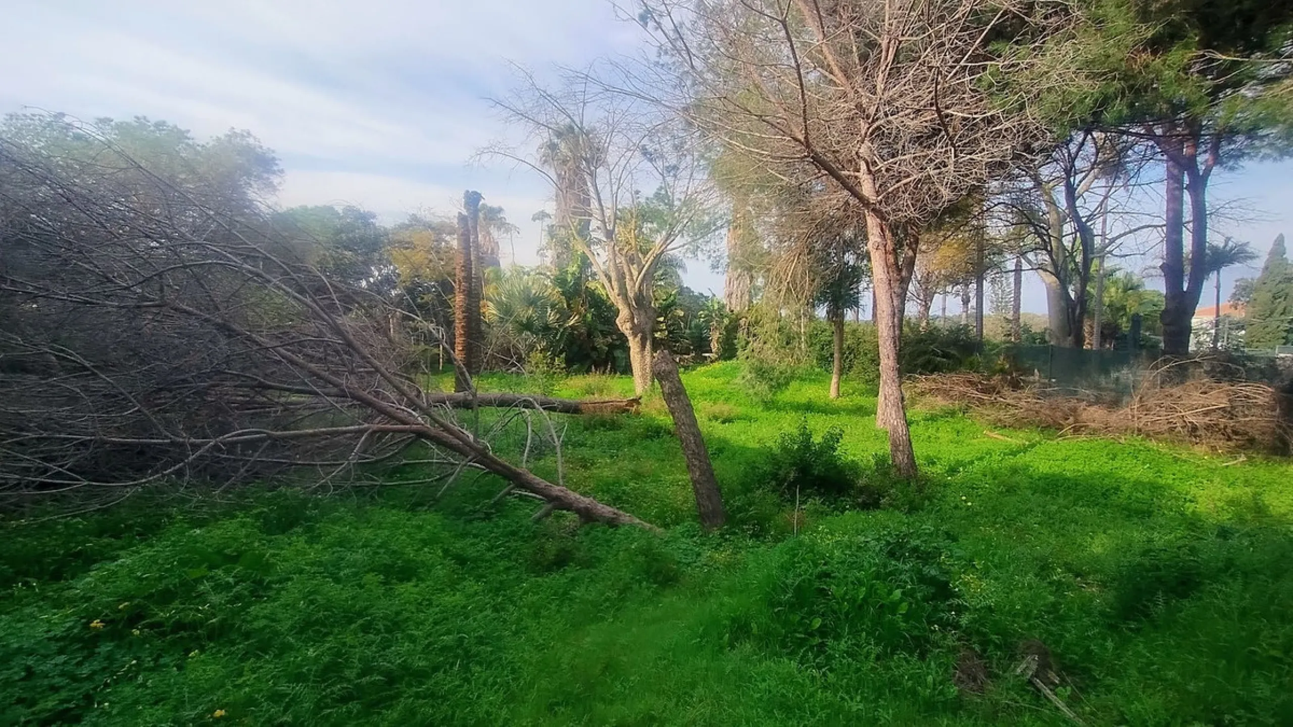 Plot for sale with an exclusive Luxury Villa project.