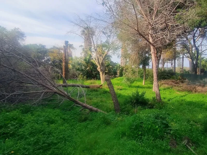 Plot for sale with an exclusive Luxury Villa project.