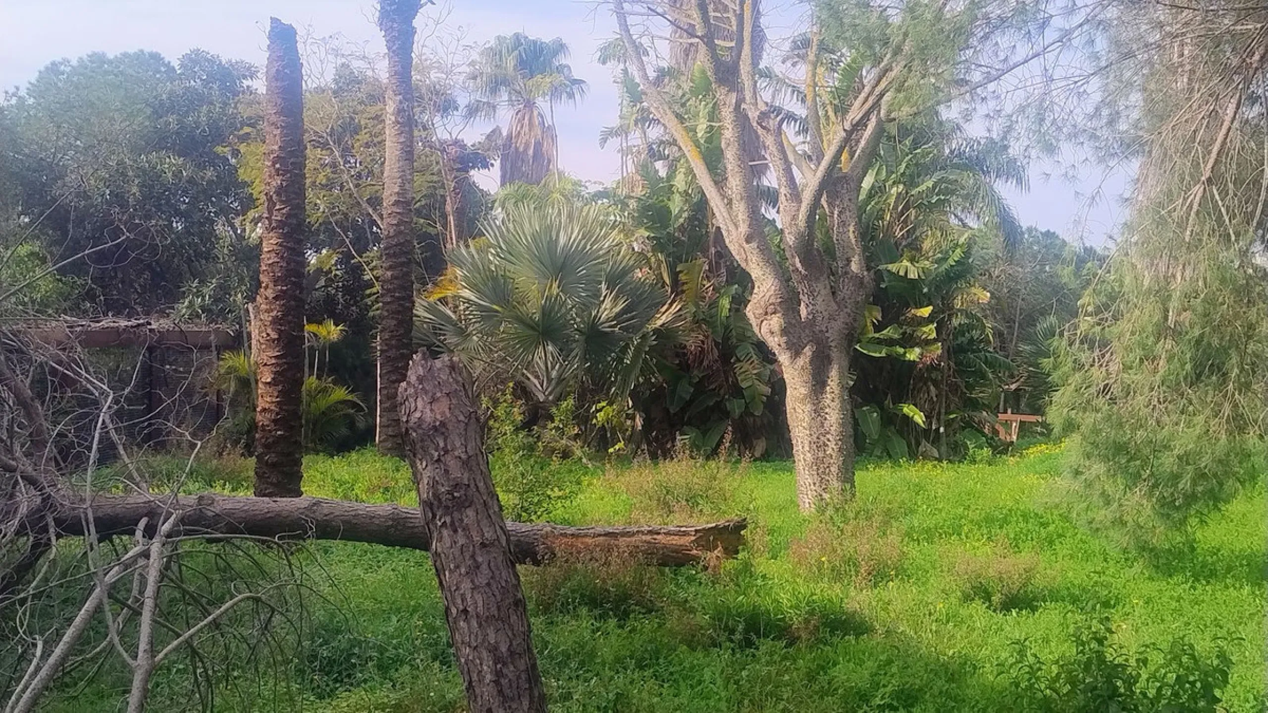 Plot for sale with an exclusive Luxury Villa project.