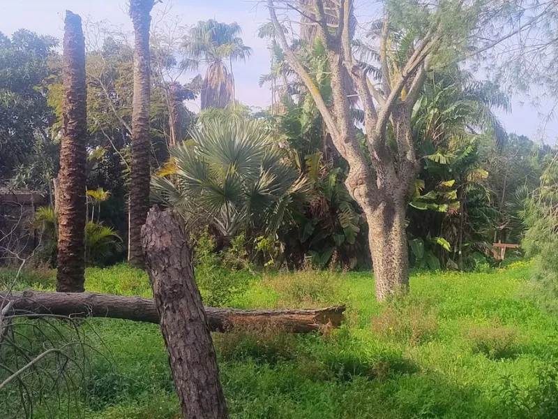 Plot for sale with an exclusive Luxury Villa project.