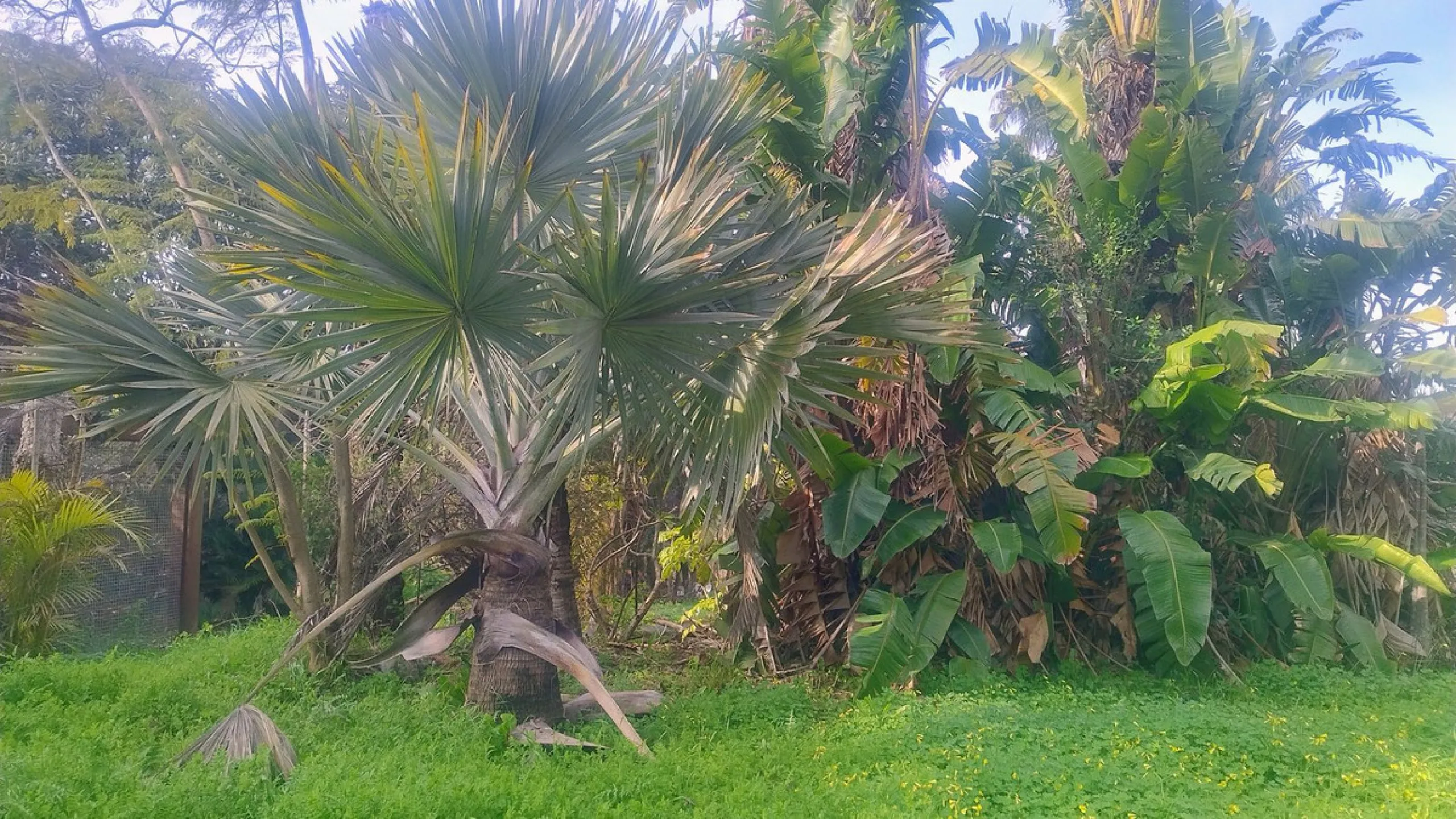 Plot for sale with an exclusive Luxury Villa project.