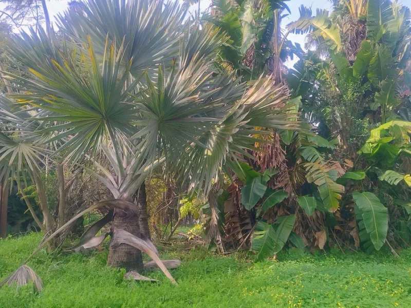 Plot for sale with an exclusive Luxury Villa project.