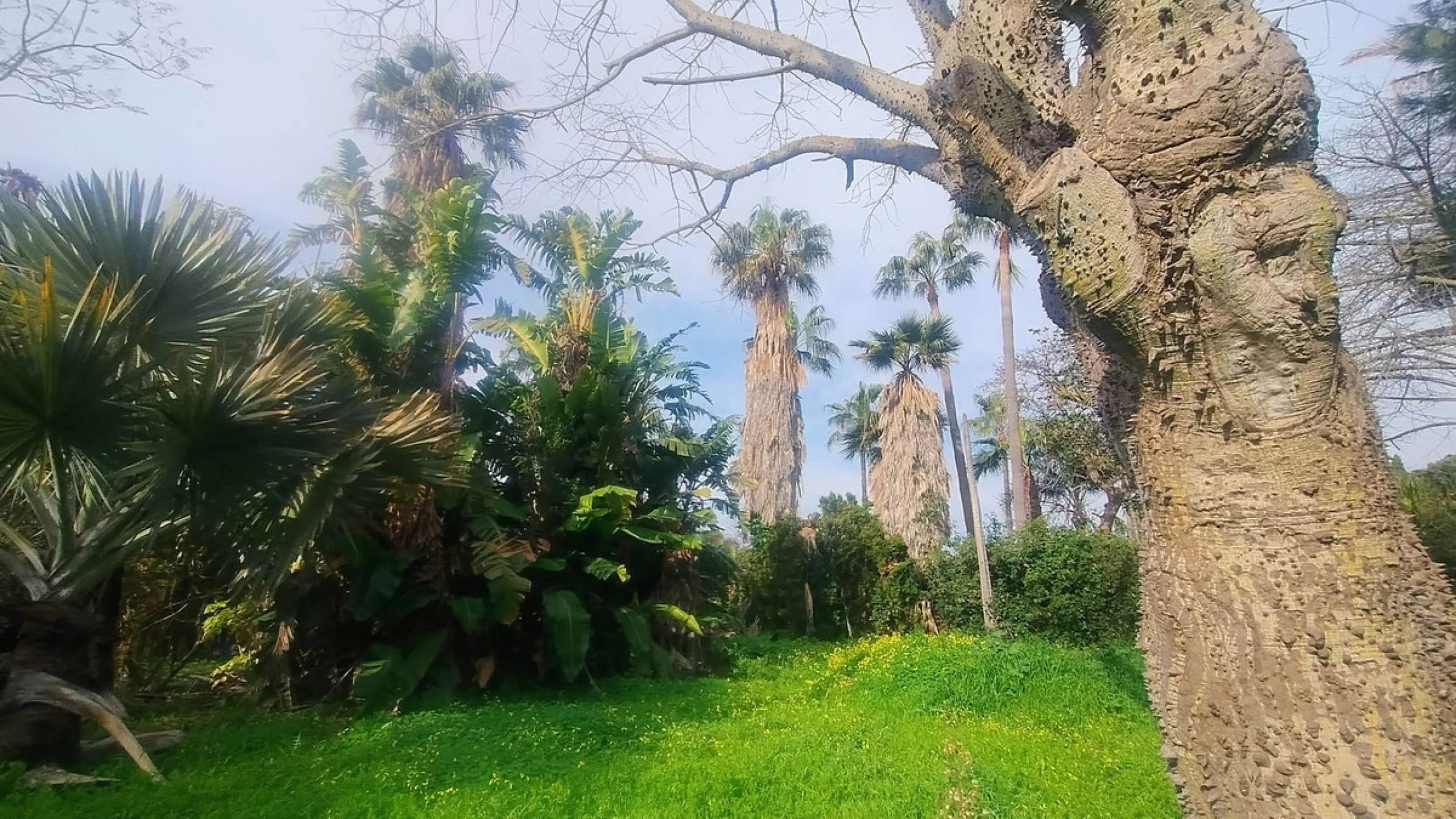 Plot for sale with an exclusive Luxury Villa project.
