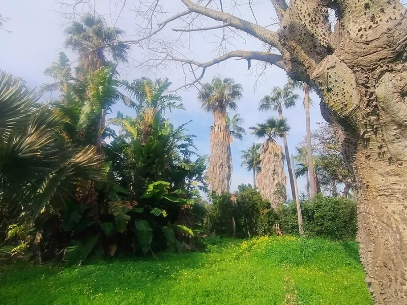 Plot for sale with an exclusive Luxury Villa project.