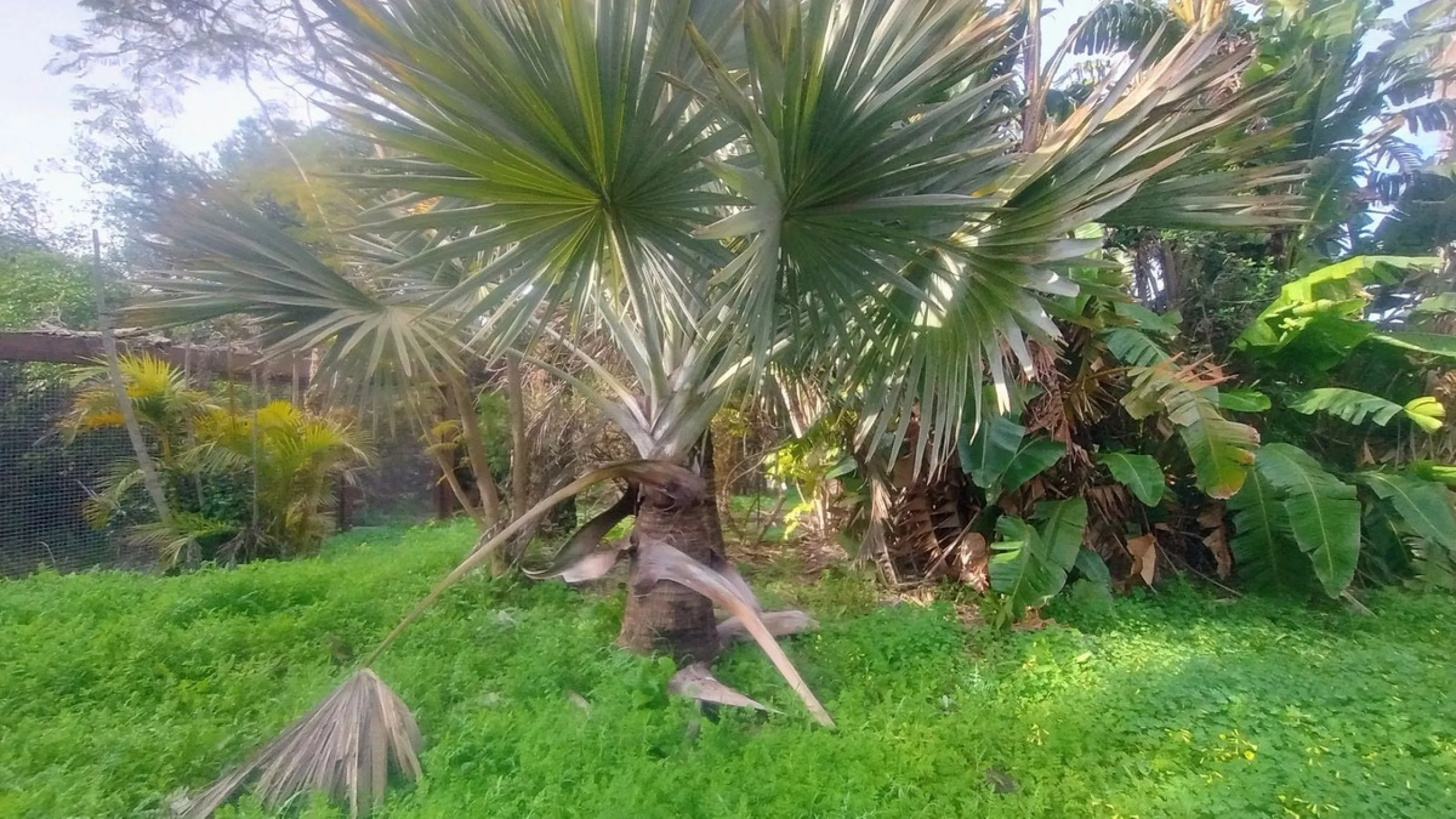 Plot for sale with an exclusive Luxury Villa project.