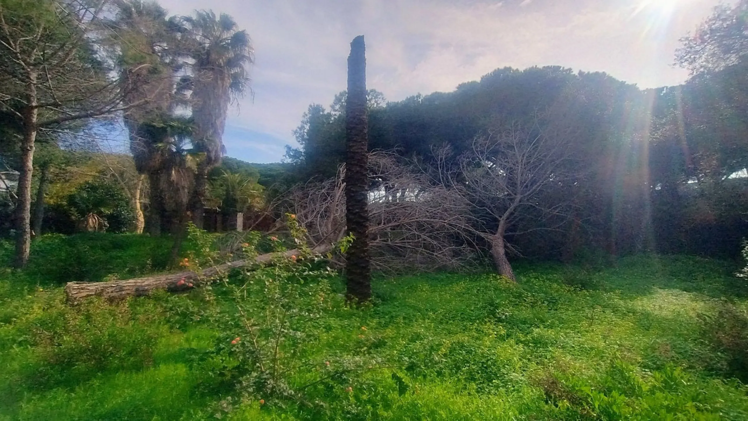 Plot for sale with an exclusive Luxury Villa project.
