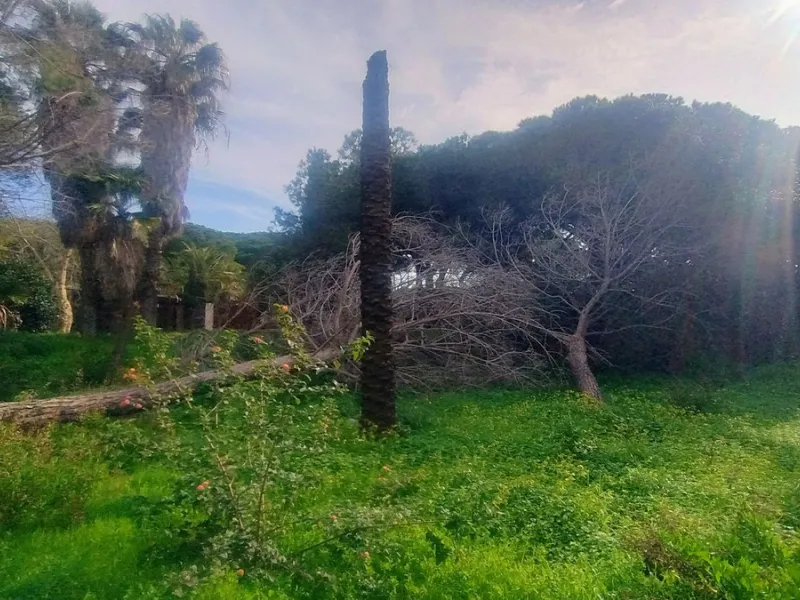 Plot for sale with an exclusive Luxury Villa project.