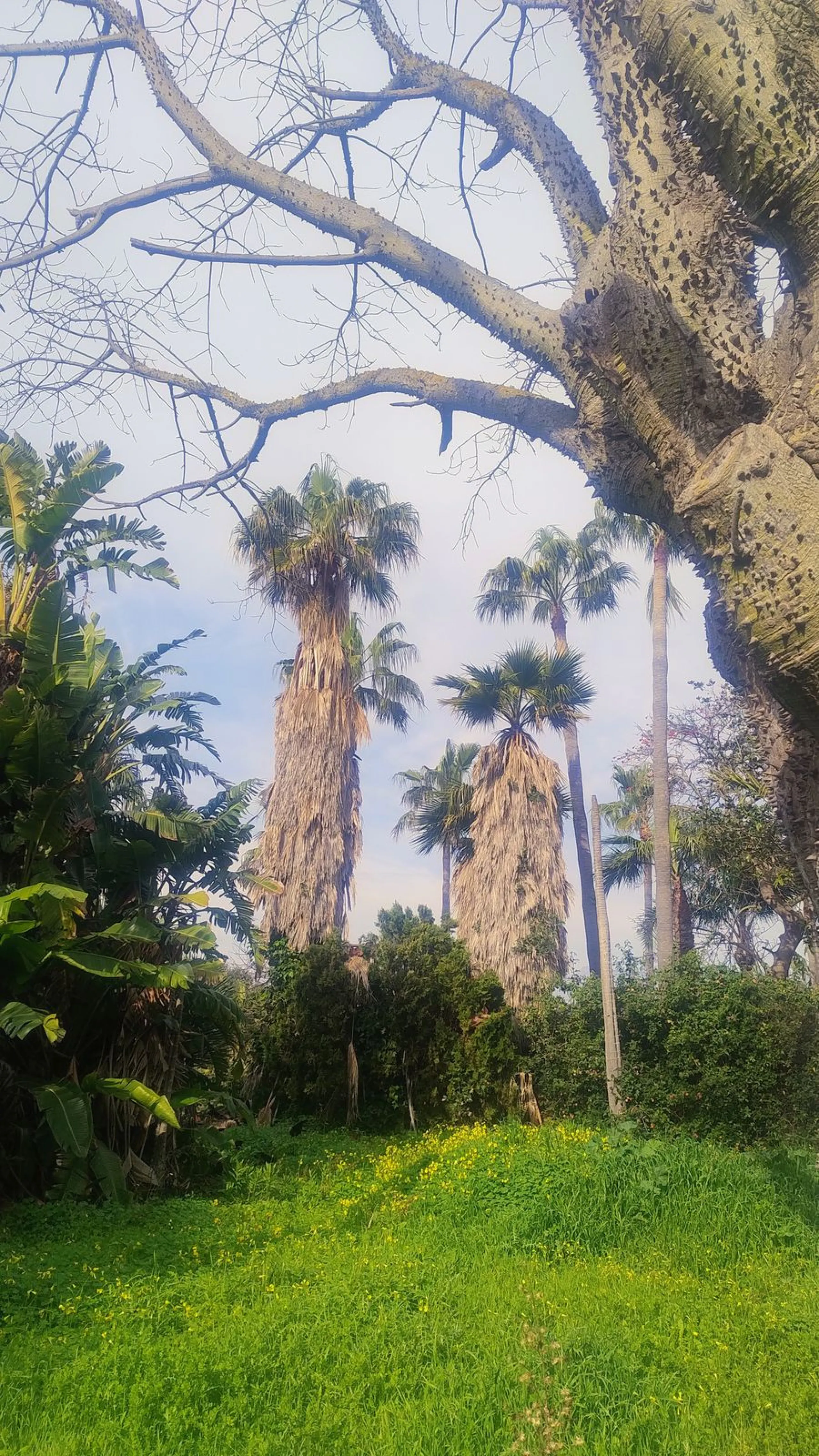 Plot for sale with an exclusive Luxury Villa project.