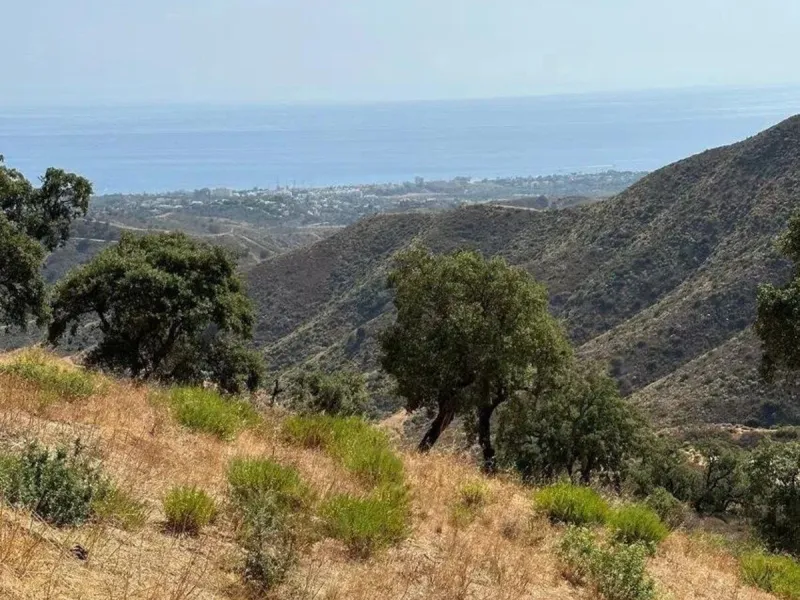This wonderful estate is located in a privileged area with stunning panoramic sea and mountain views and has 38,000 meters of plot with a house of 2,300 meters built.