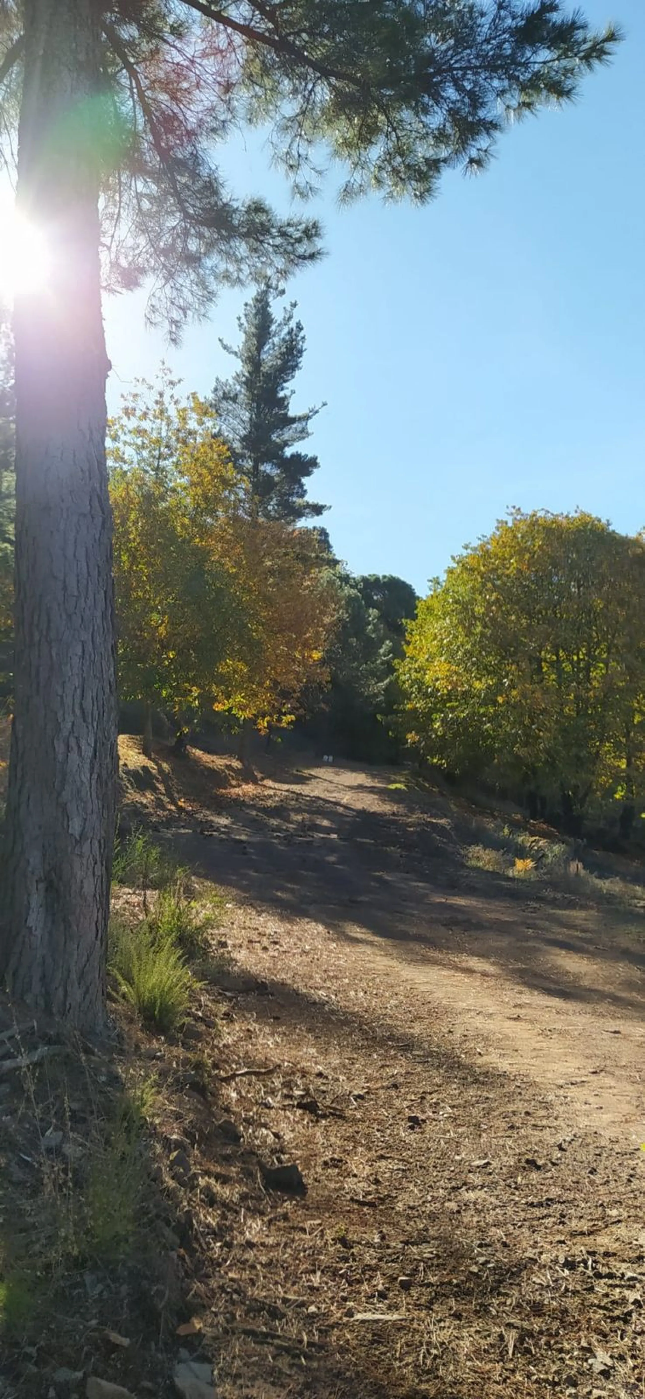 Finca - Cortijo, Jubrique, Costa del Sol.