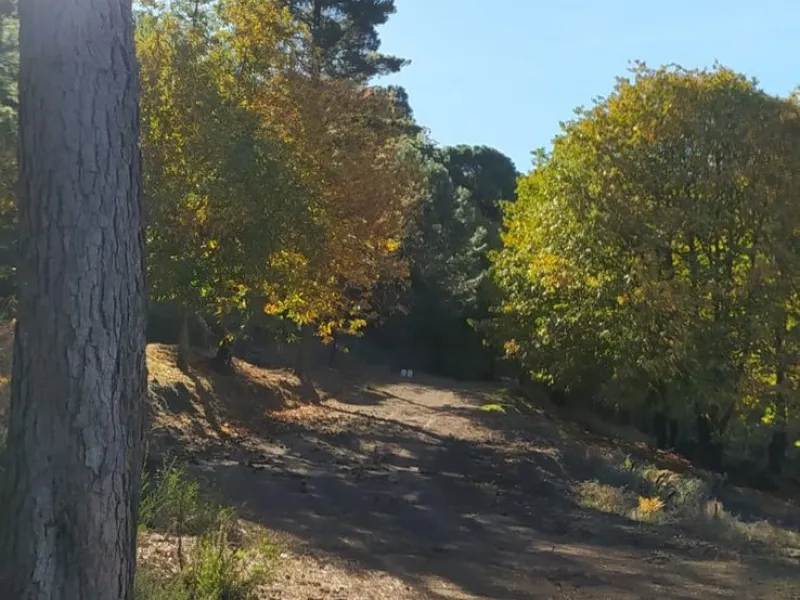 Finca - Cortijo, Jubrique, Costa del Sol.