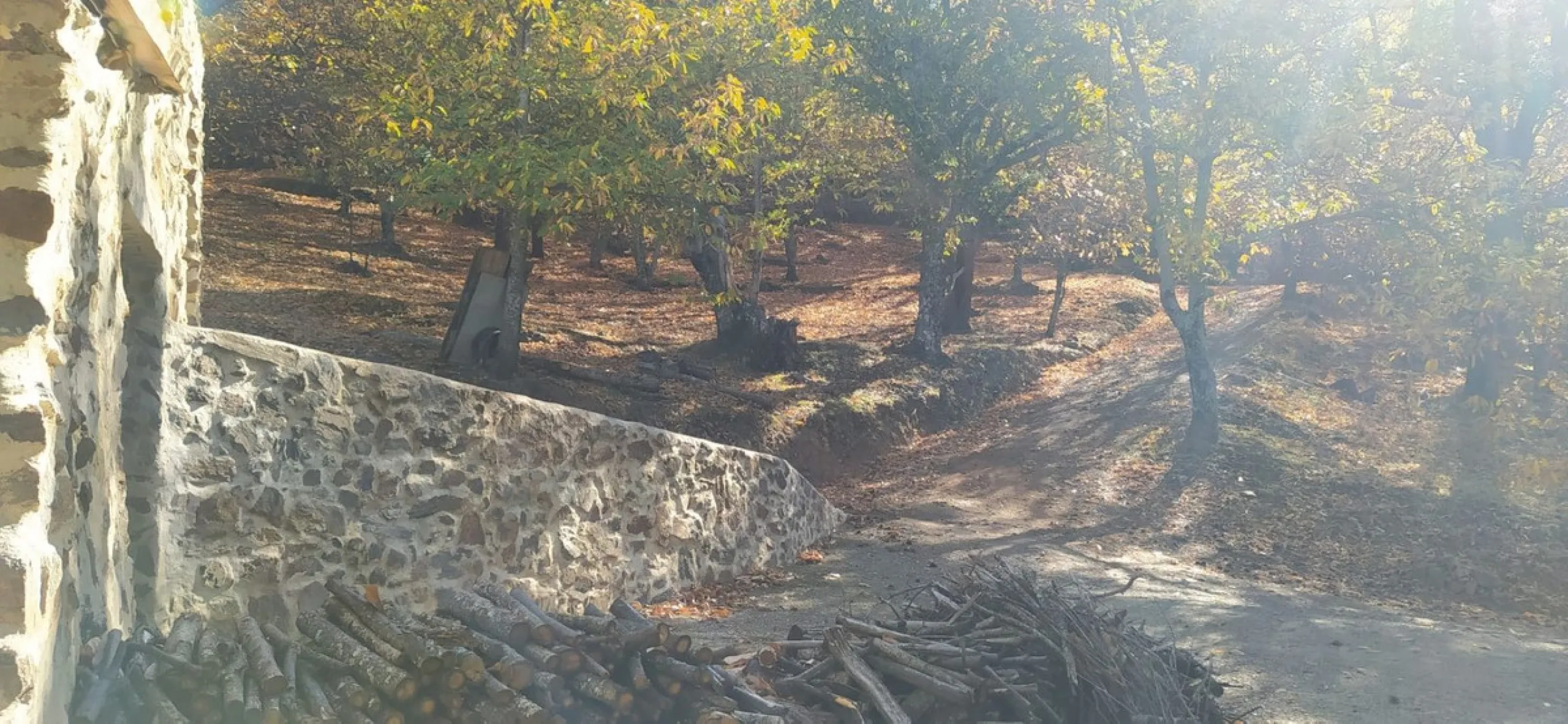 Finca - Cortijo, Jubrique, Costa del Sol.