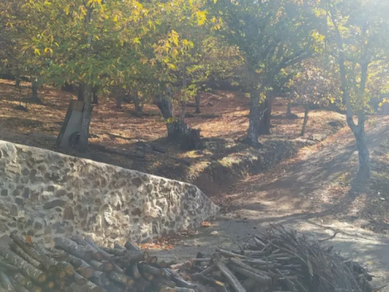 Finca - Cortijo, Jubrique, Costa del Sol.