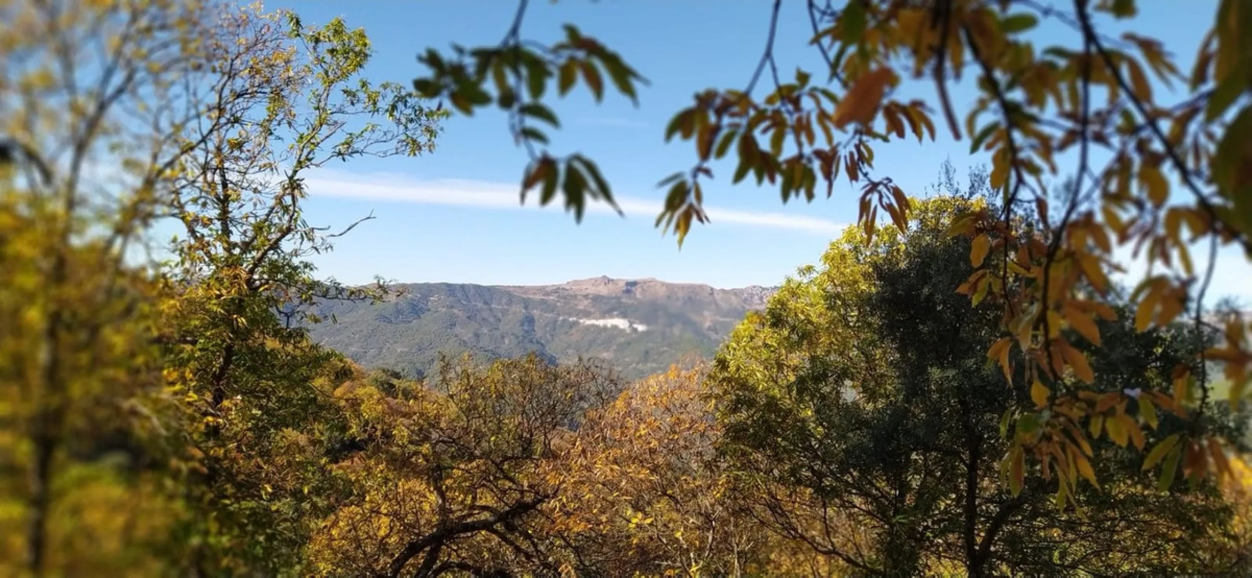Finca - Cortijo, Jubrique, Costa del Sol.