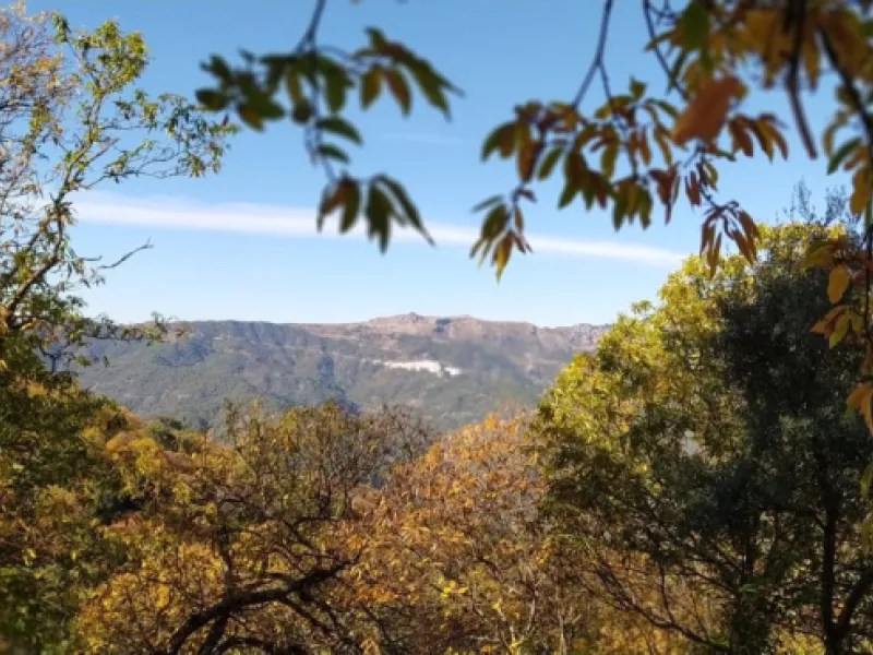 Finca - Cortijo, Jubrique, Costa del Sol.